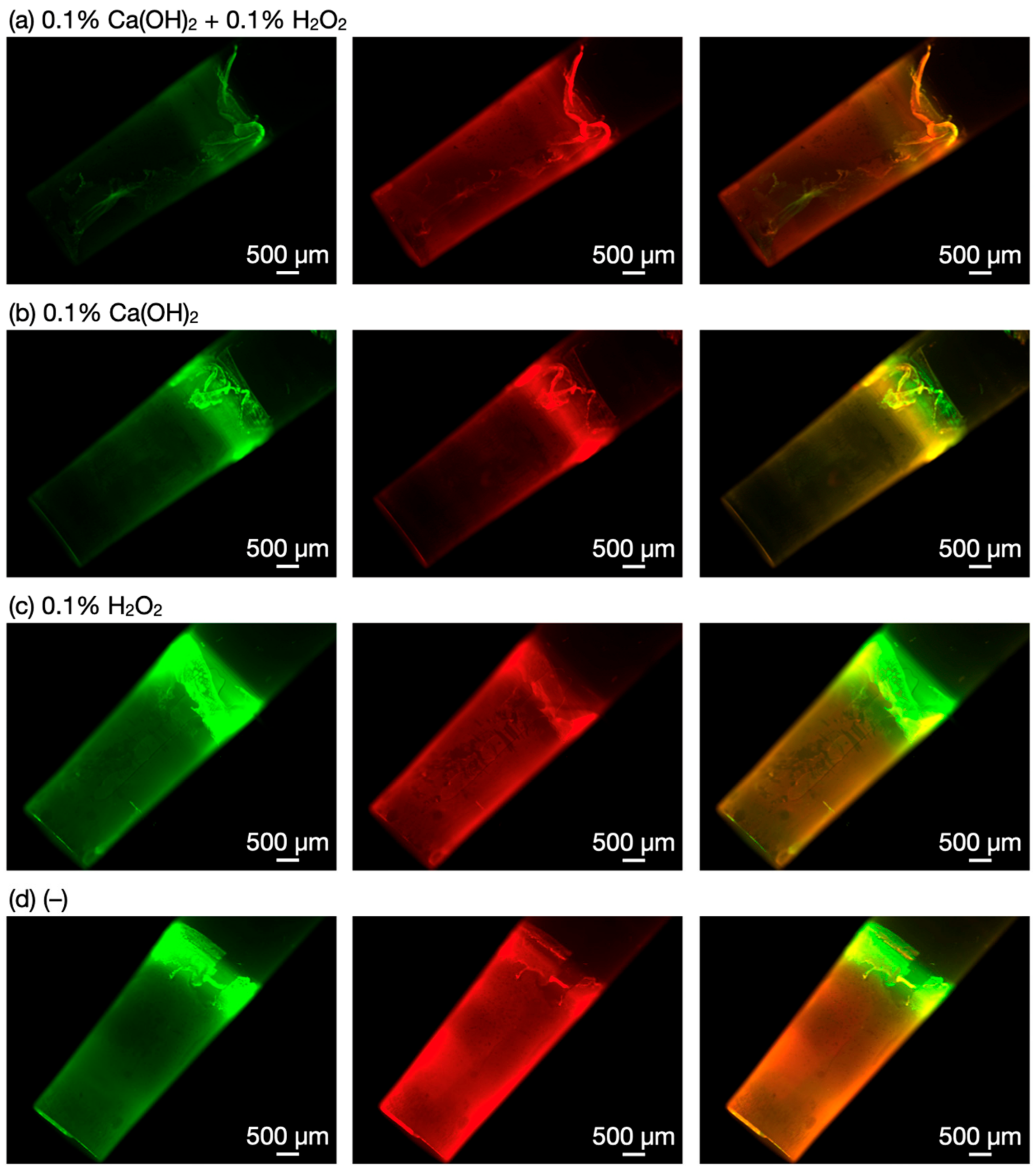 Nanomaterials 12 03681 g004 Nanomaterials 12 03681 g004