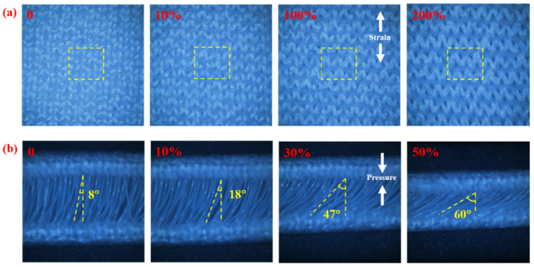 Nanomaterials 12 03684 g002