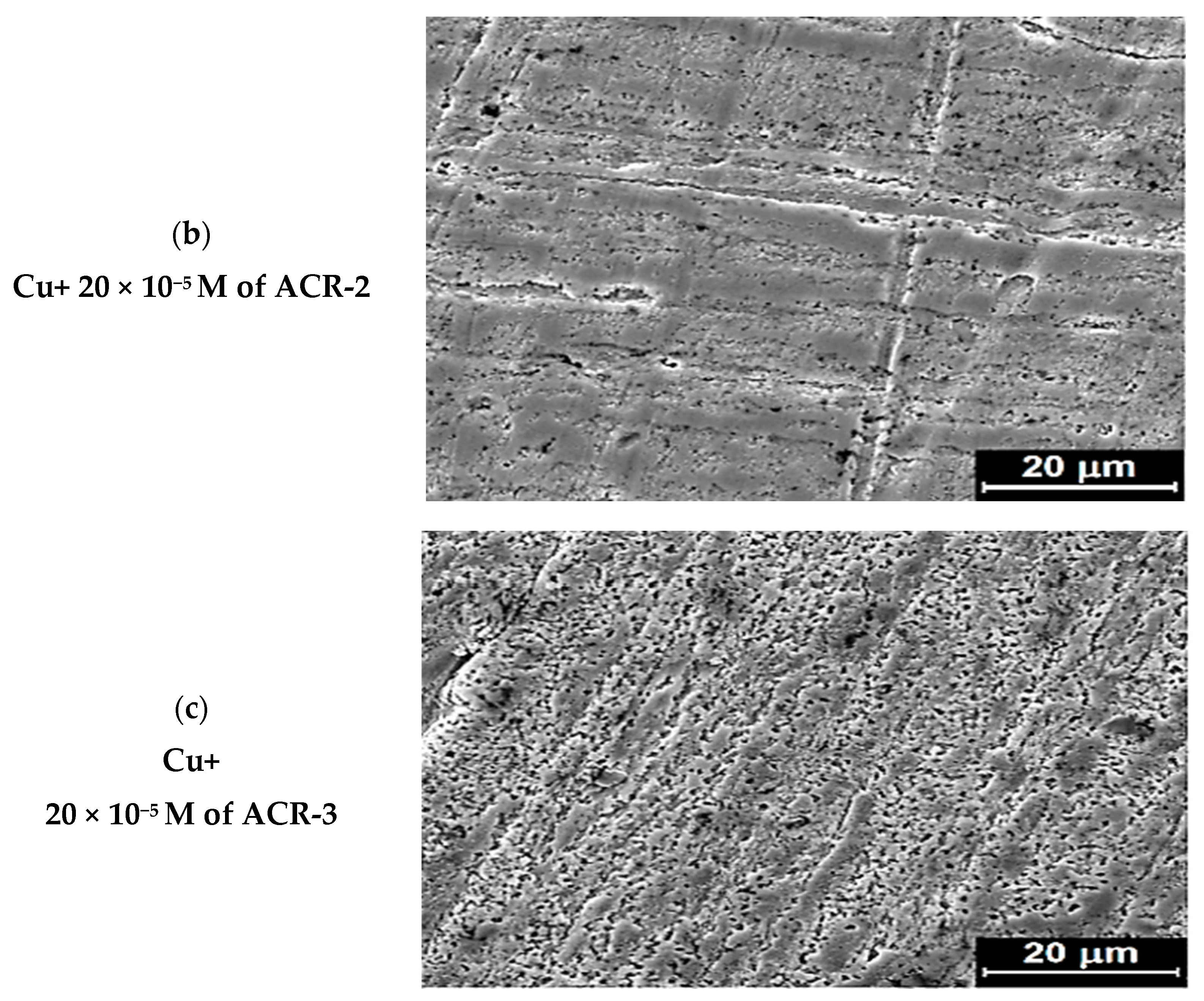 Nanomaterials 12 03685 g018b