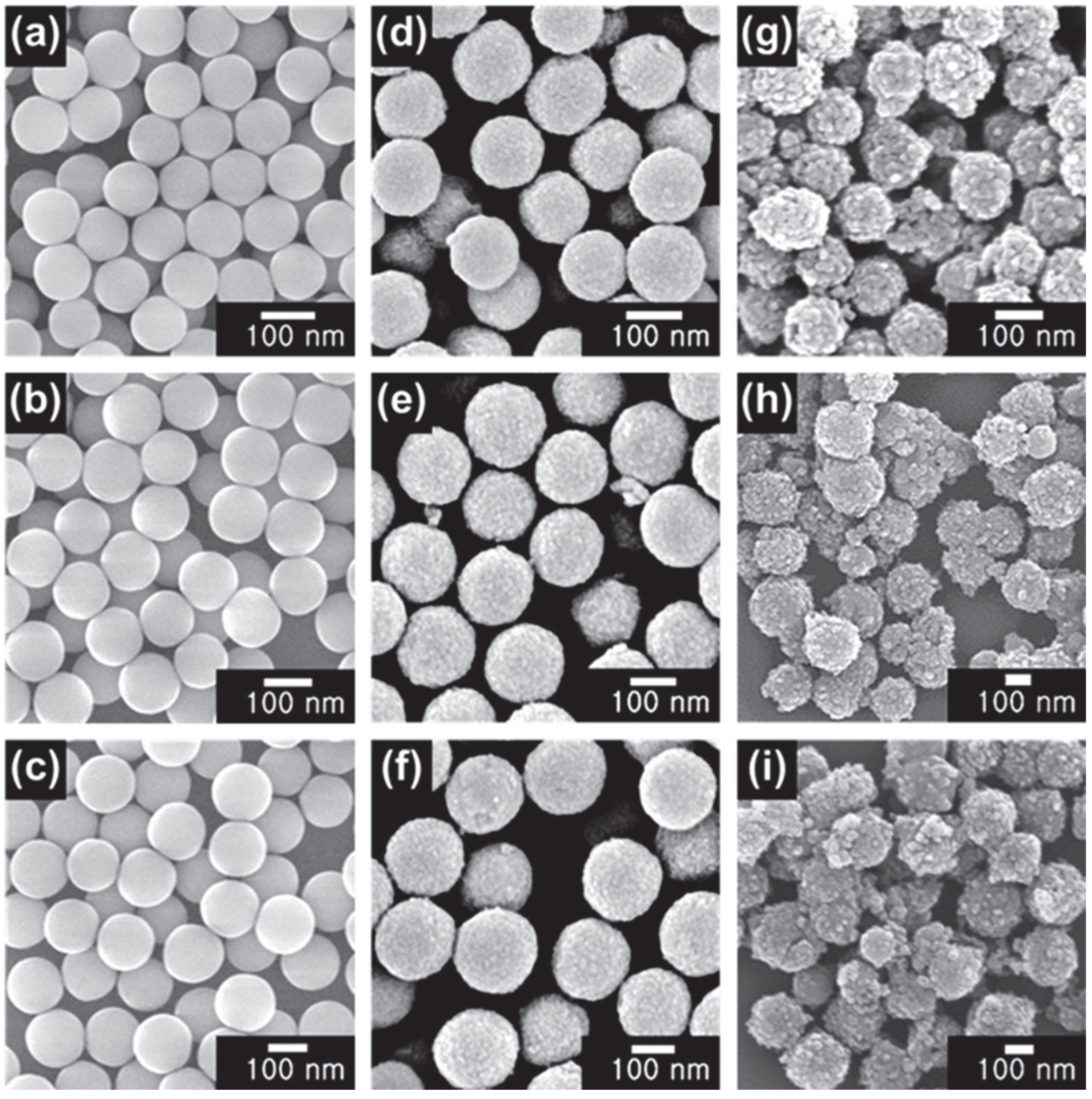Nanomaterials 12 03689 g004 Nanomaterials 12 03689 g004