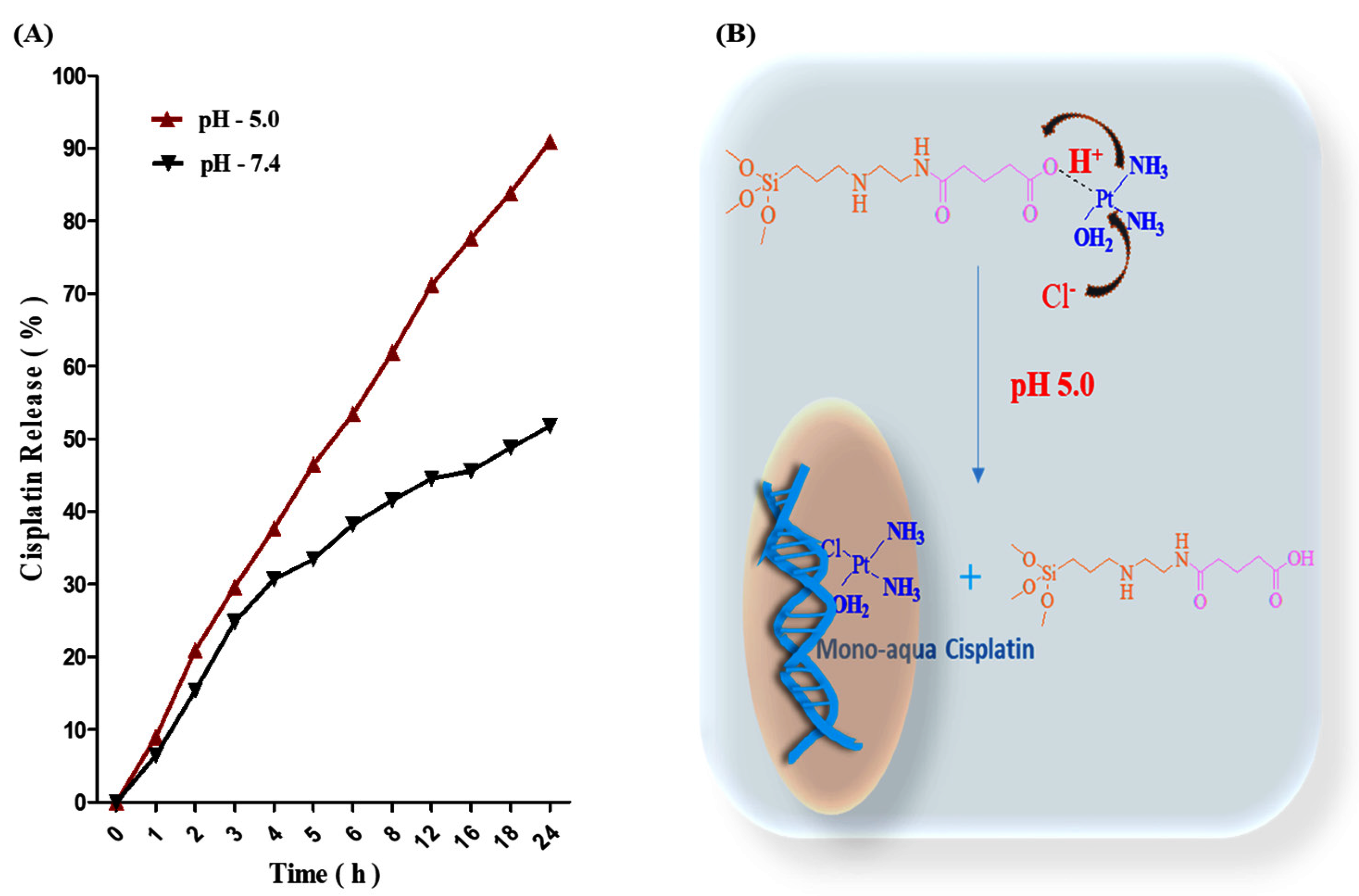 Nanomaterials 12 03693 g007