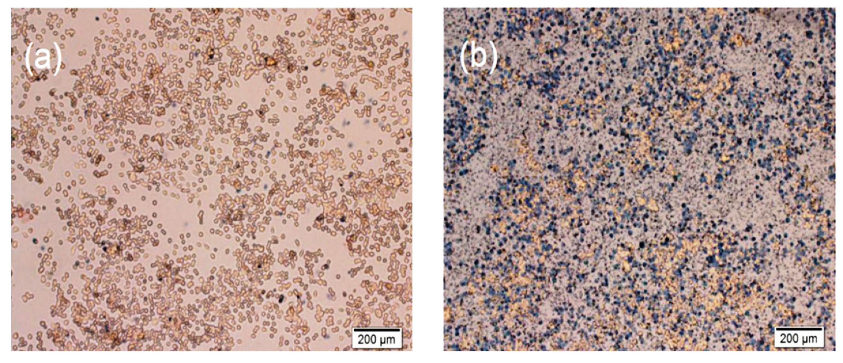 Nanomaterials 12 03693 g010