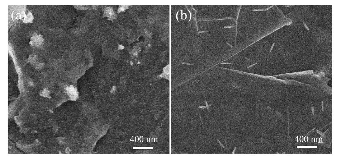 Nanomaterials 12 03697 g003