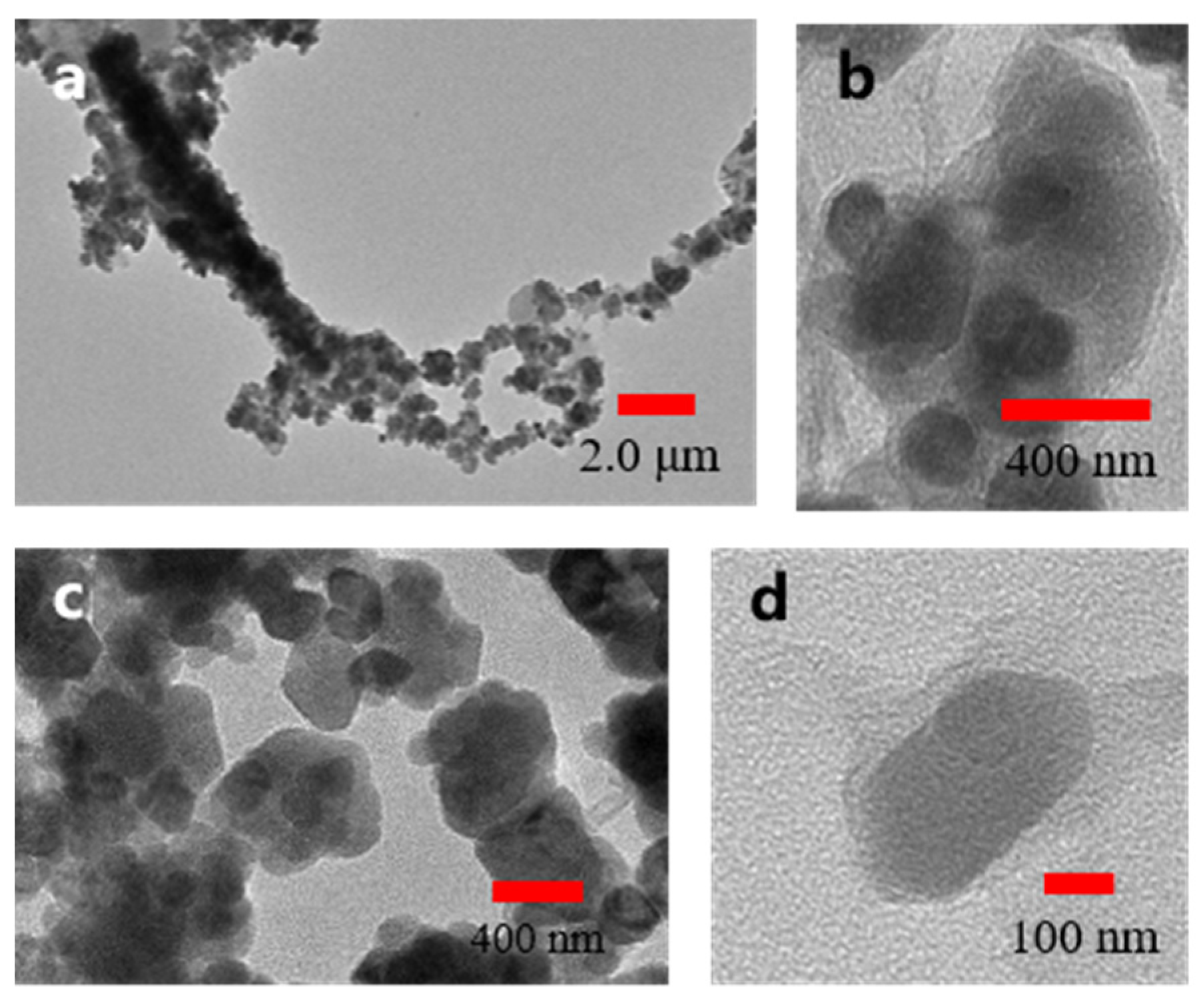 Nanomaterials 12 03699 g002