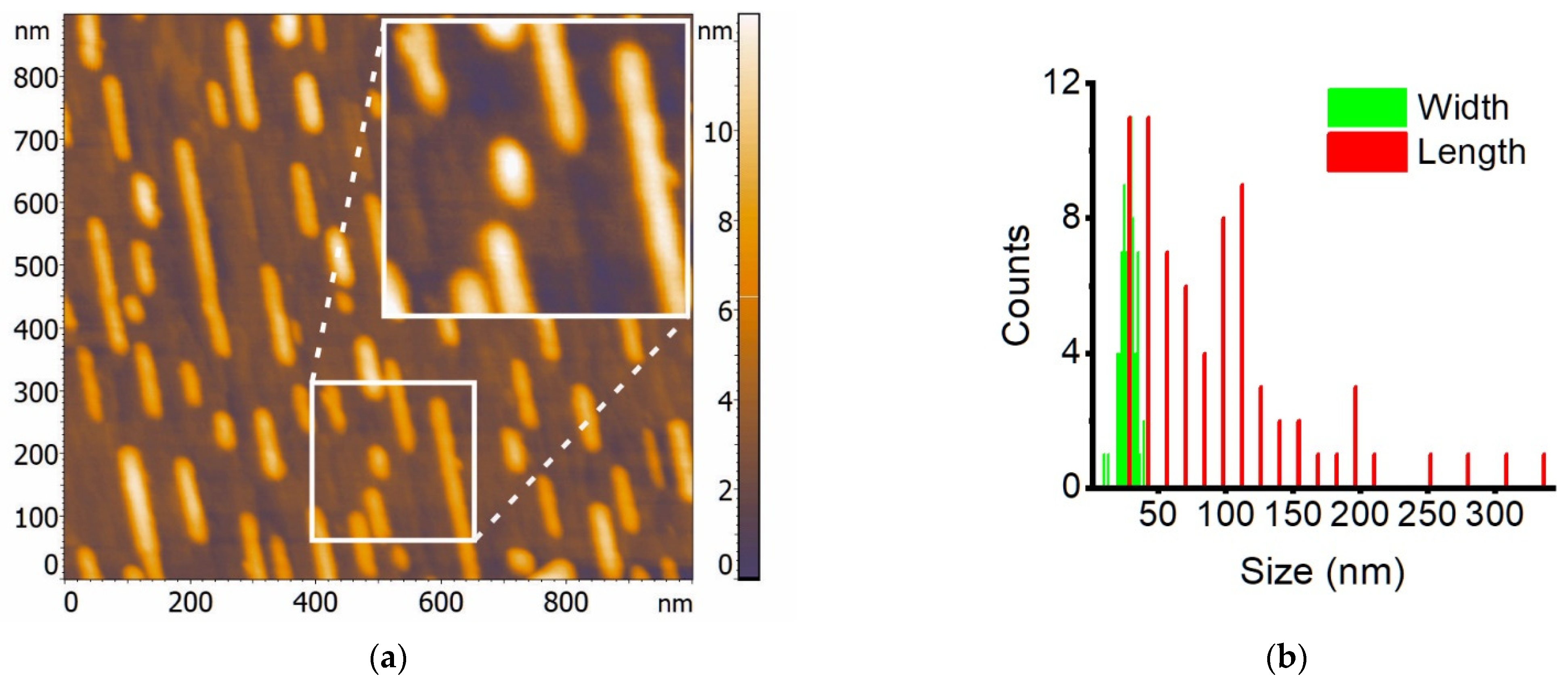 Nanomaterials 12 03707 g001