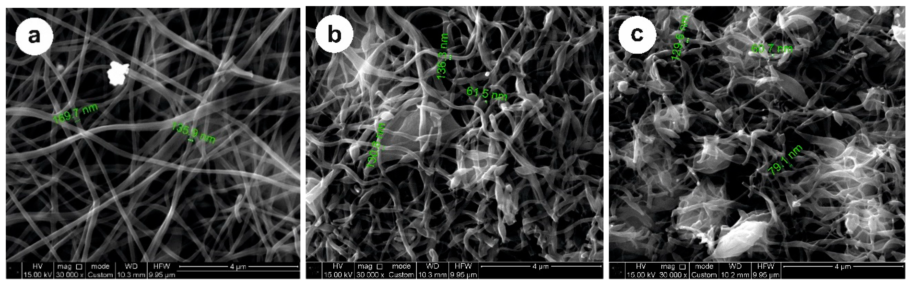Nanomaterials 12 03710 g001
