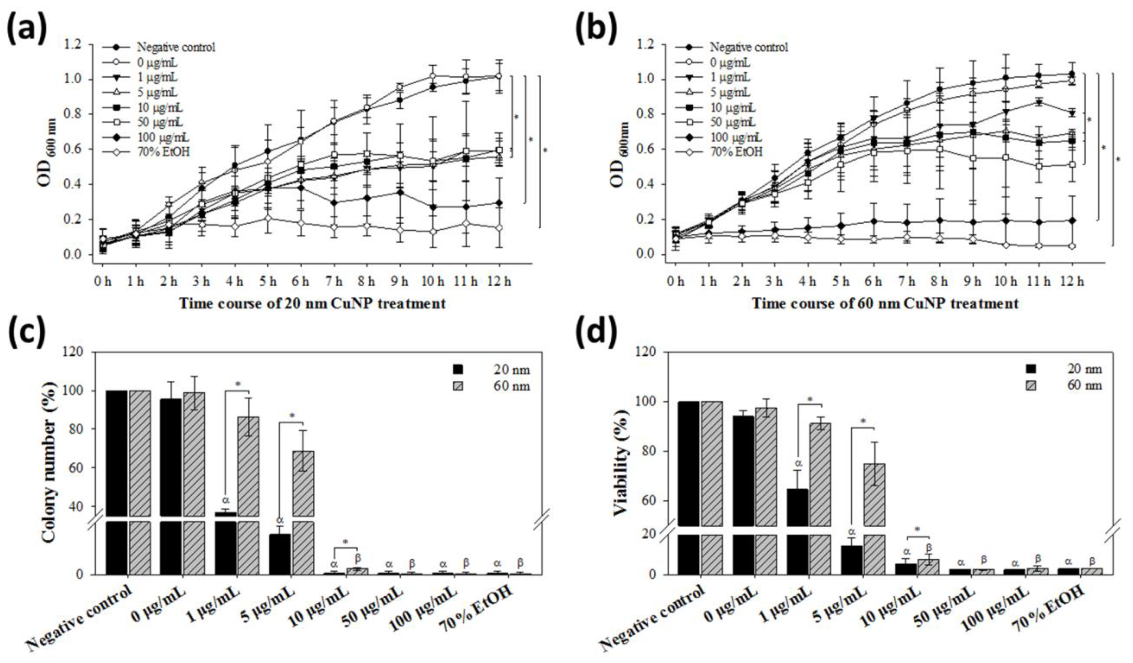 Nanomaterials 12 03715 g001