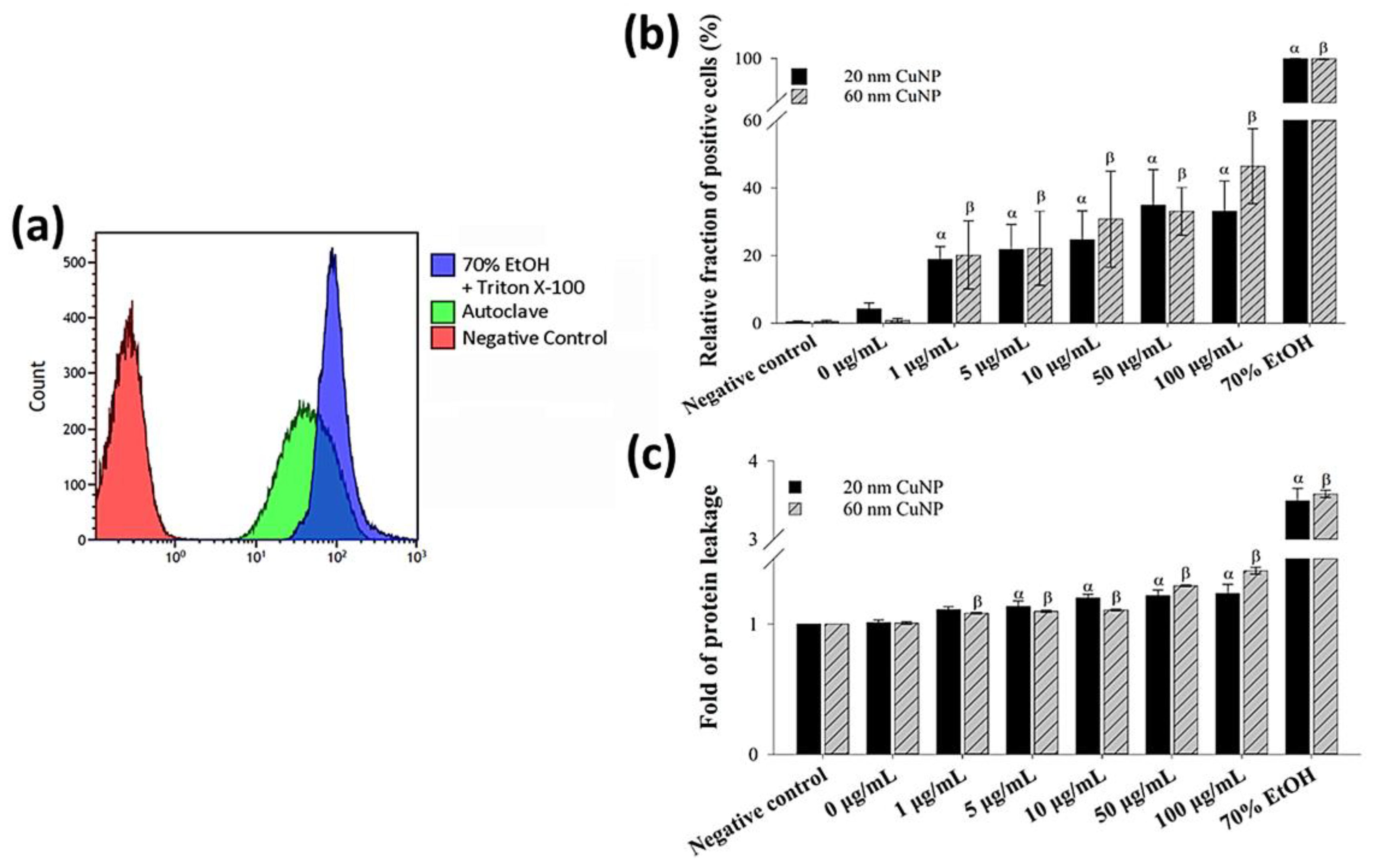 Nanomaterials 12 03715 g003