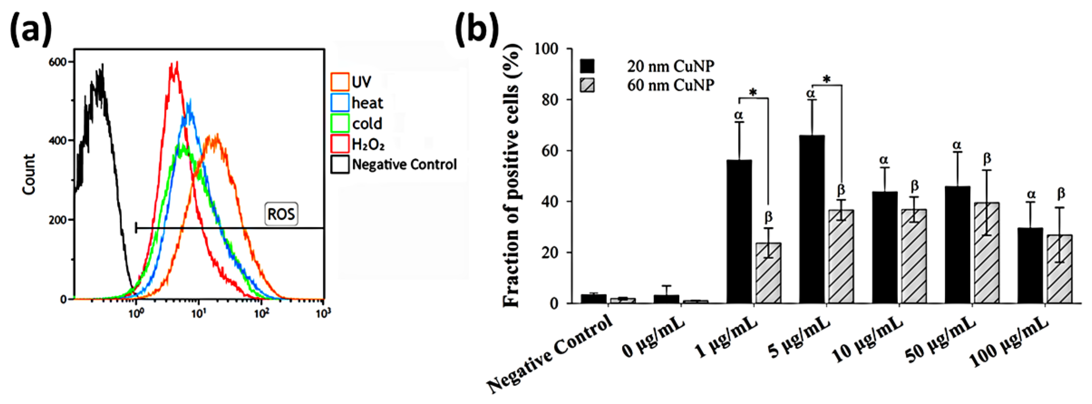 Nanomaterials 12 03715 g004