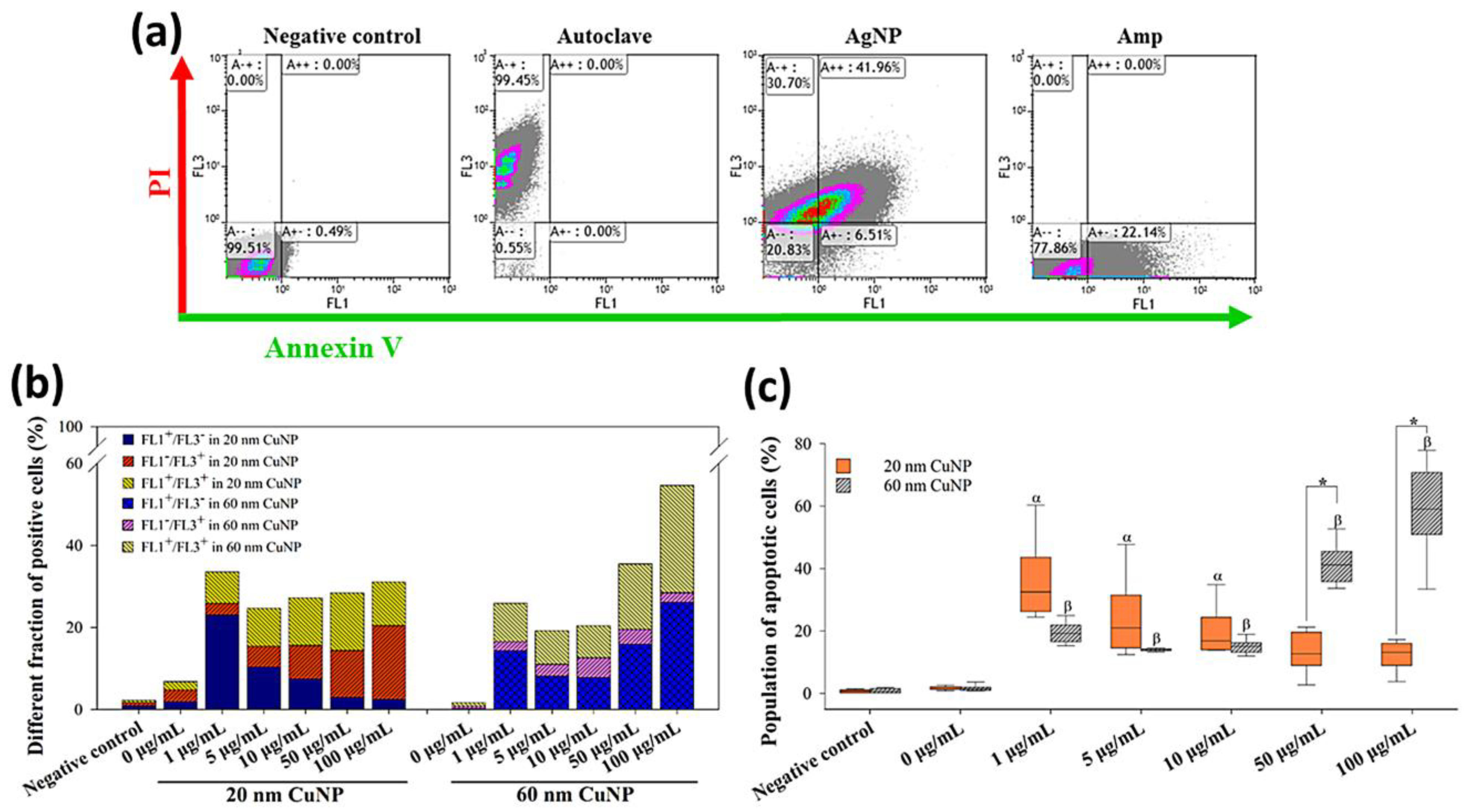 Nanomaterials 12 03715 g006