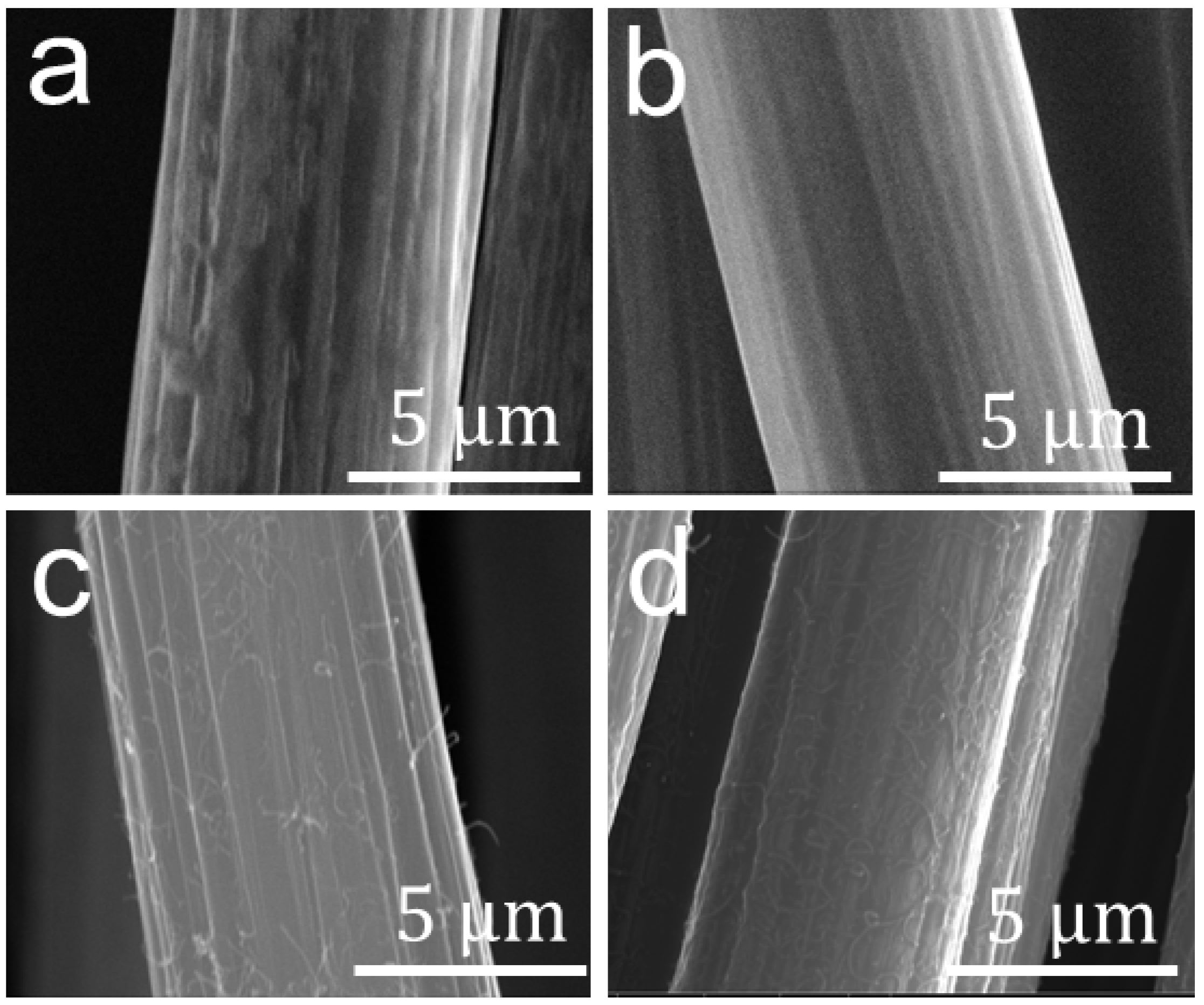 Nanomaterials 12 03717 g003 Nanomaterials 12 03717 g003