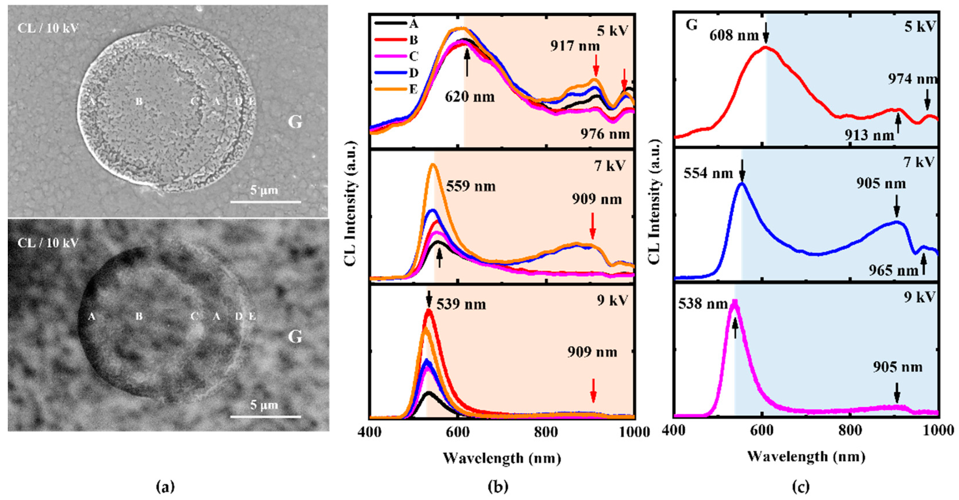 Nanomaterials 12 03719 g004 Nanomaterials 12 03719 g004