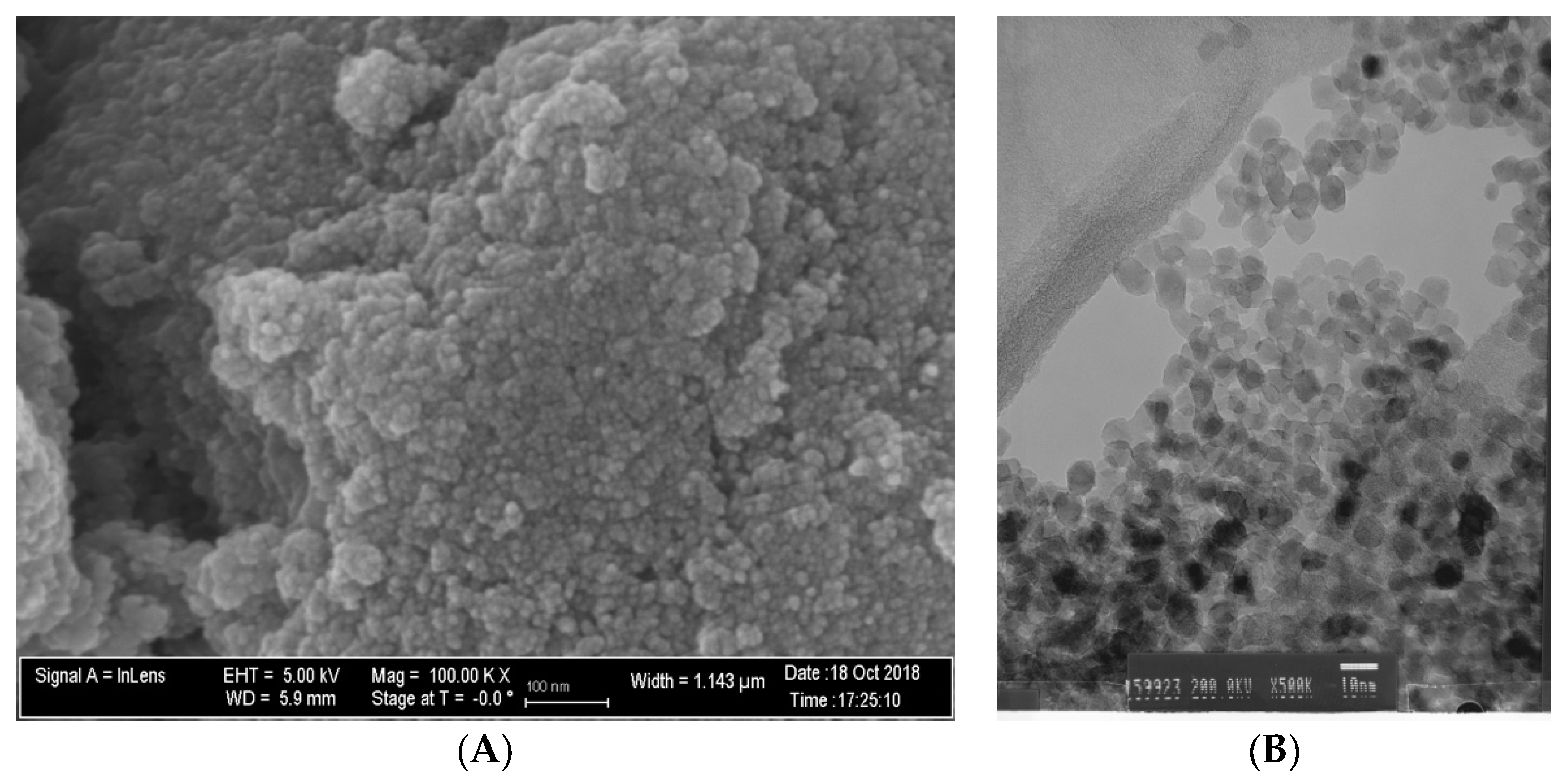 Nanomaterials 12 03732 g001