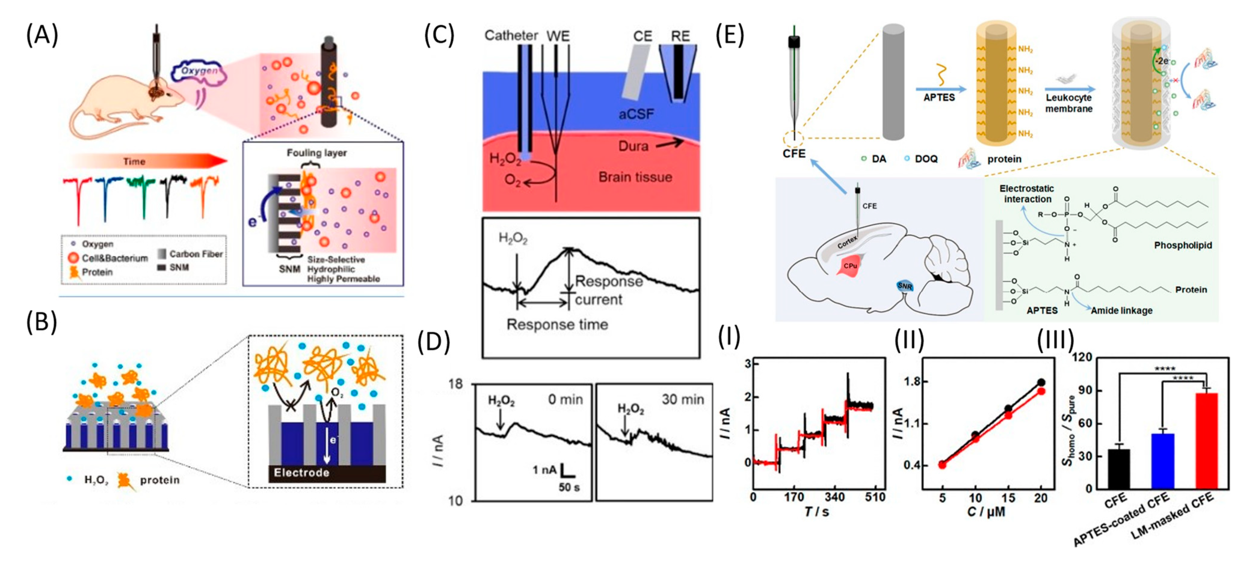 Nanomaterials 12 03736 g008 Nanomaterials 12 03736 g008