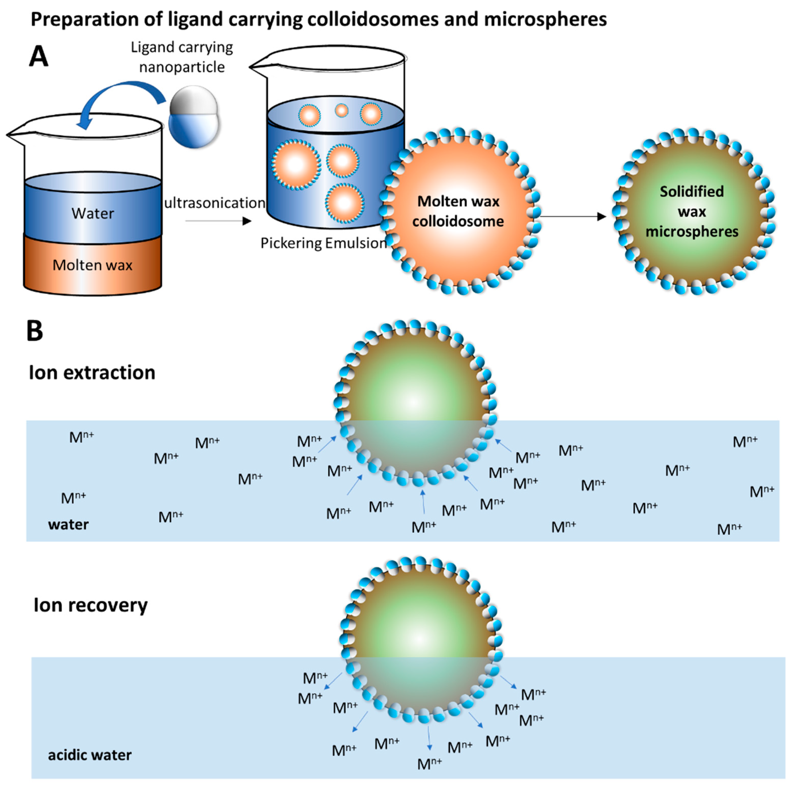 Nanomaterials 12 03738 sch001 Nanomaterials 12 03738 sch001