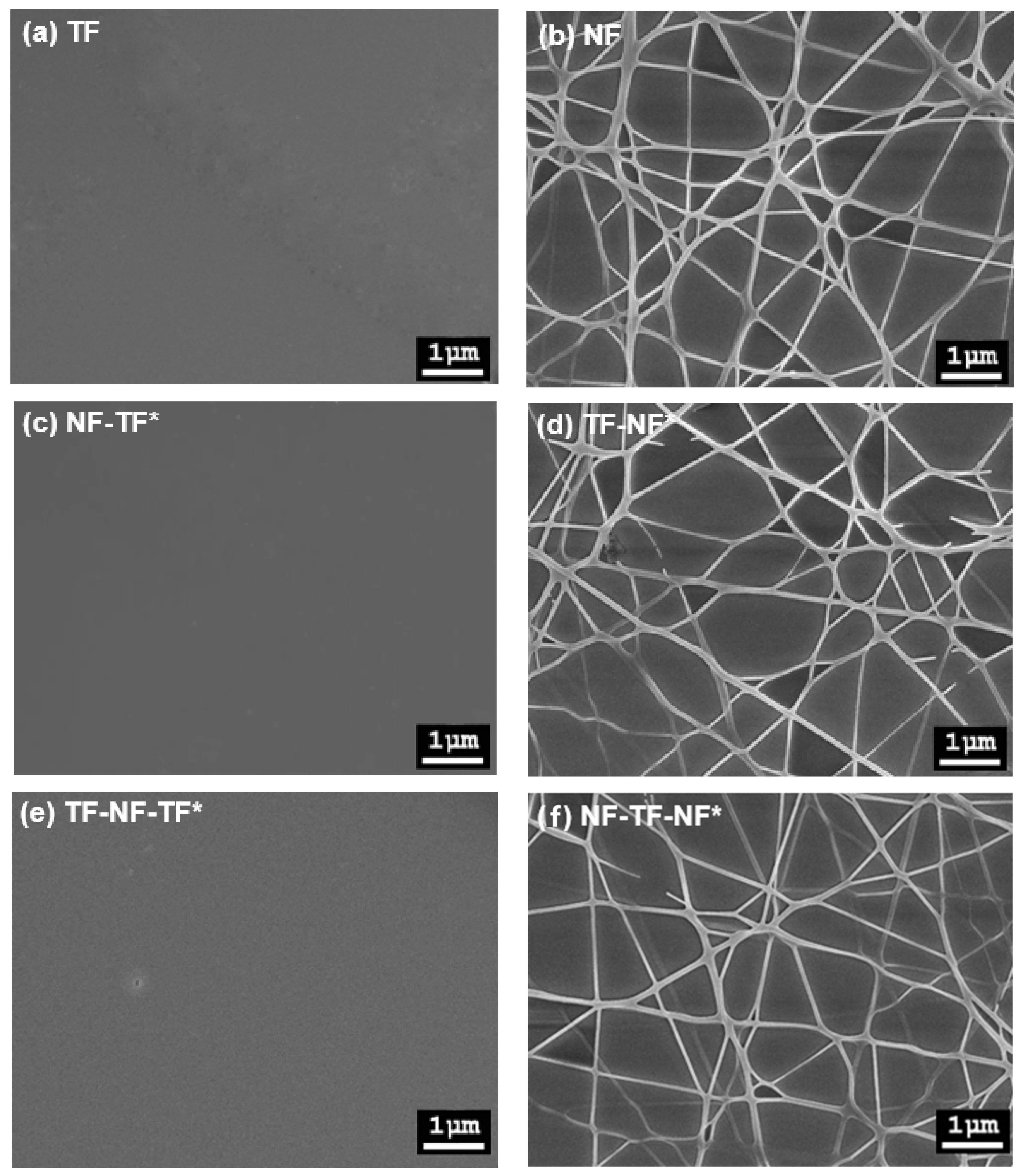 Nanomaterials 12 03739 g004 Nanomaterials 12 03739 g004