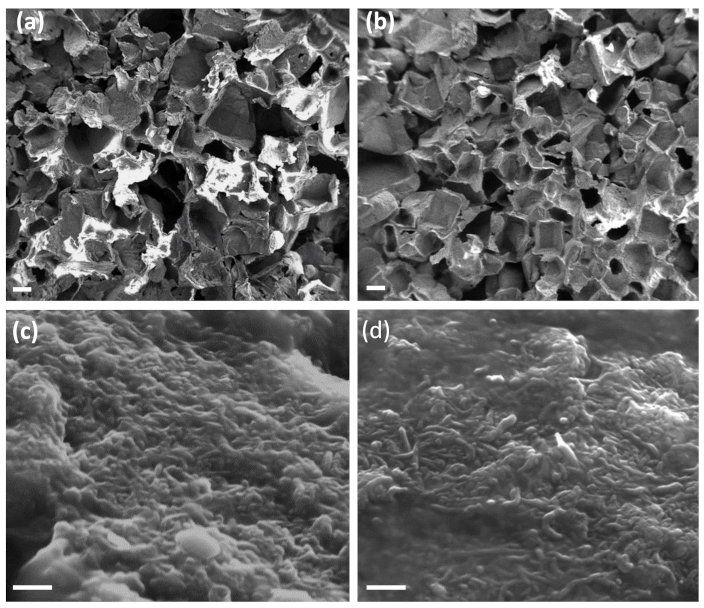 Nanomaterials 12 03741 g003