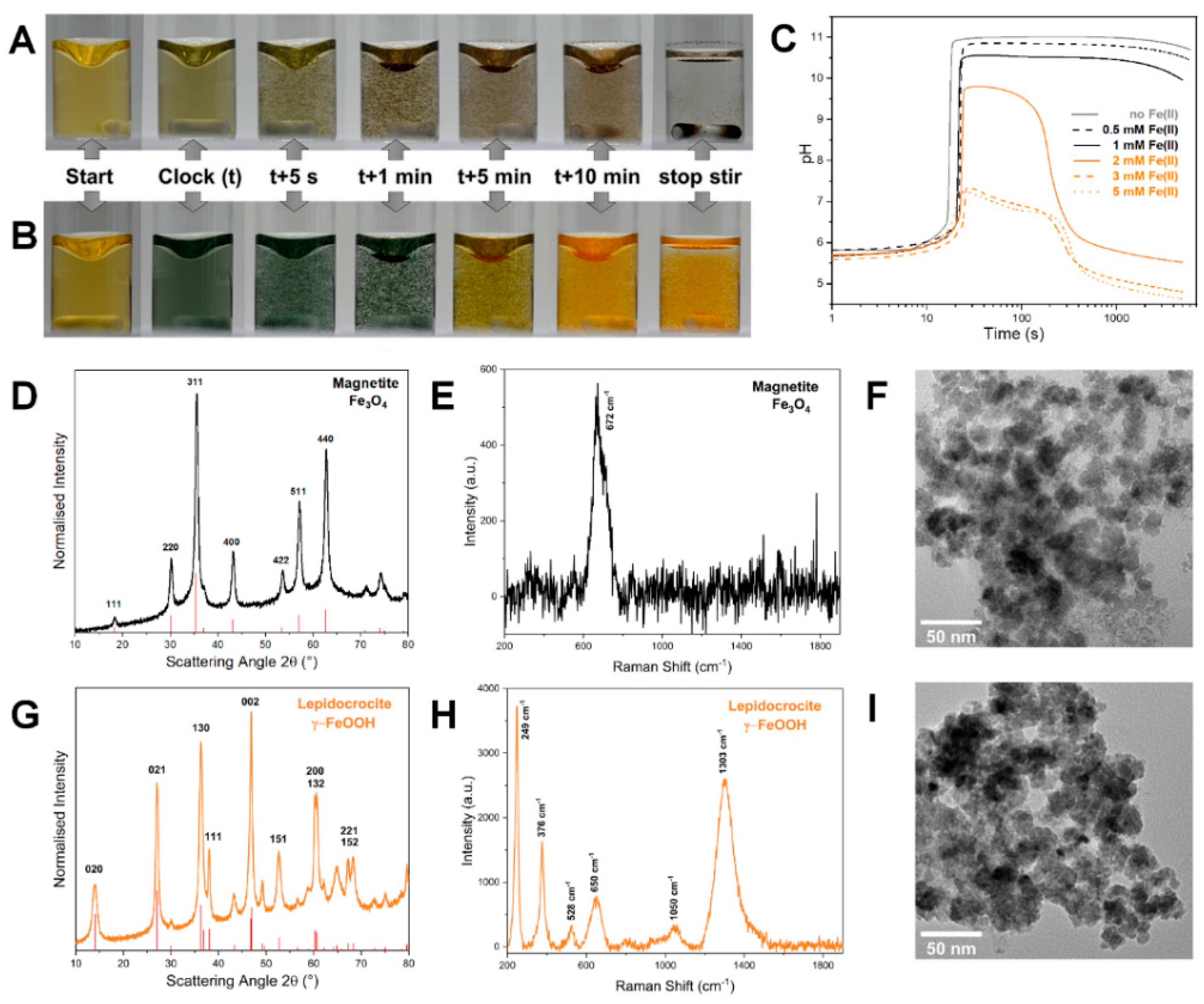 Nanomaterials 12 03743 g001