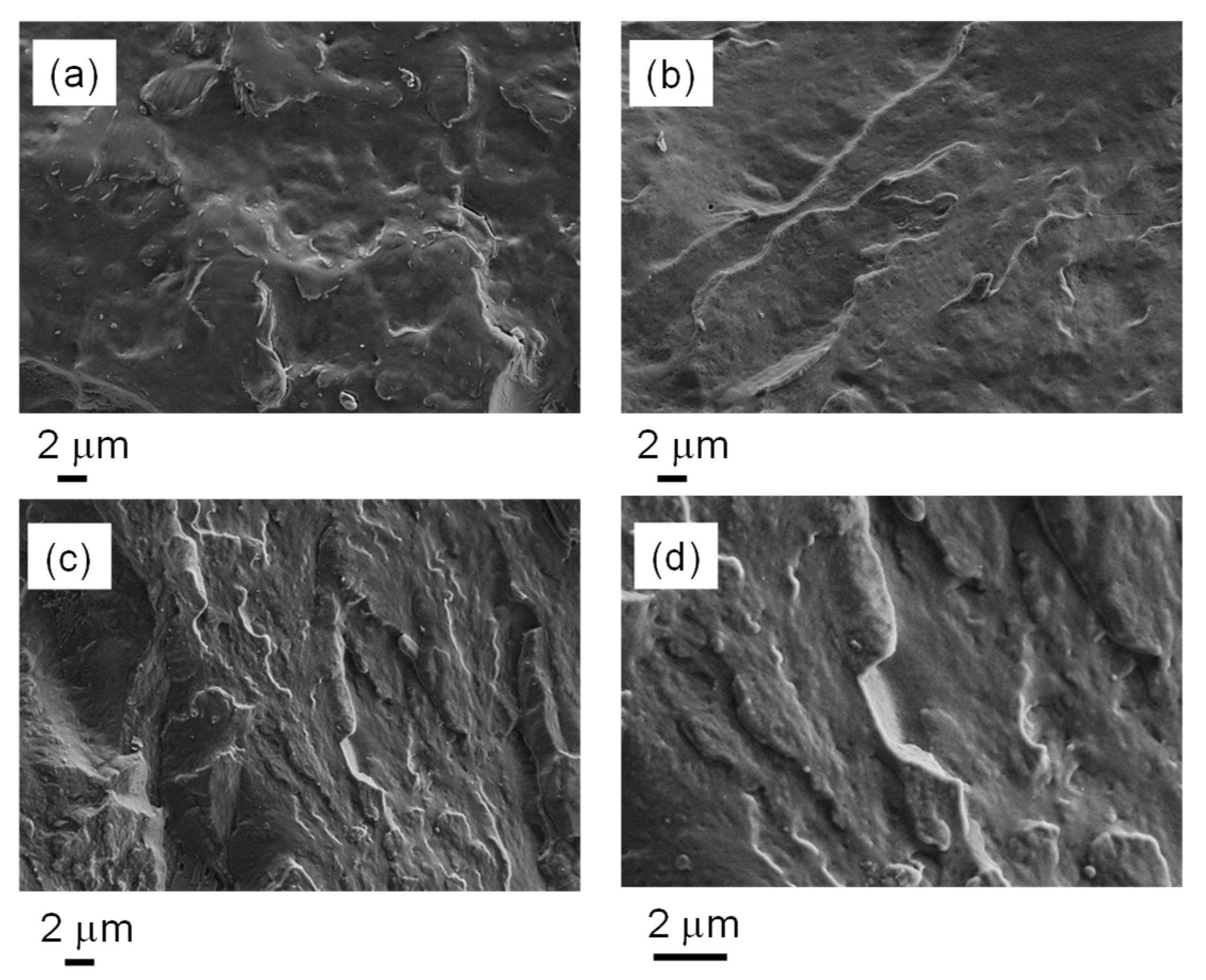 Nanomaterials 12 03744 g004 Nanomaterials 12 03744 g004