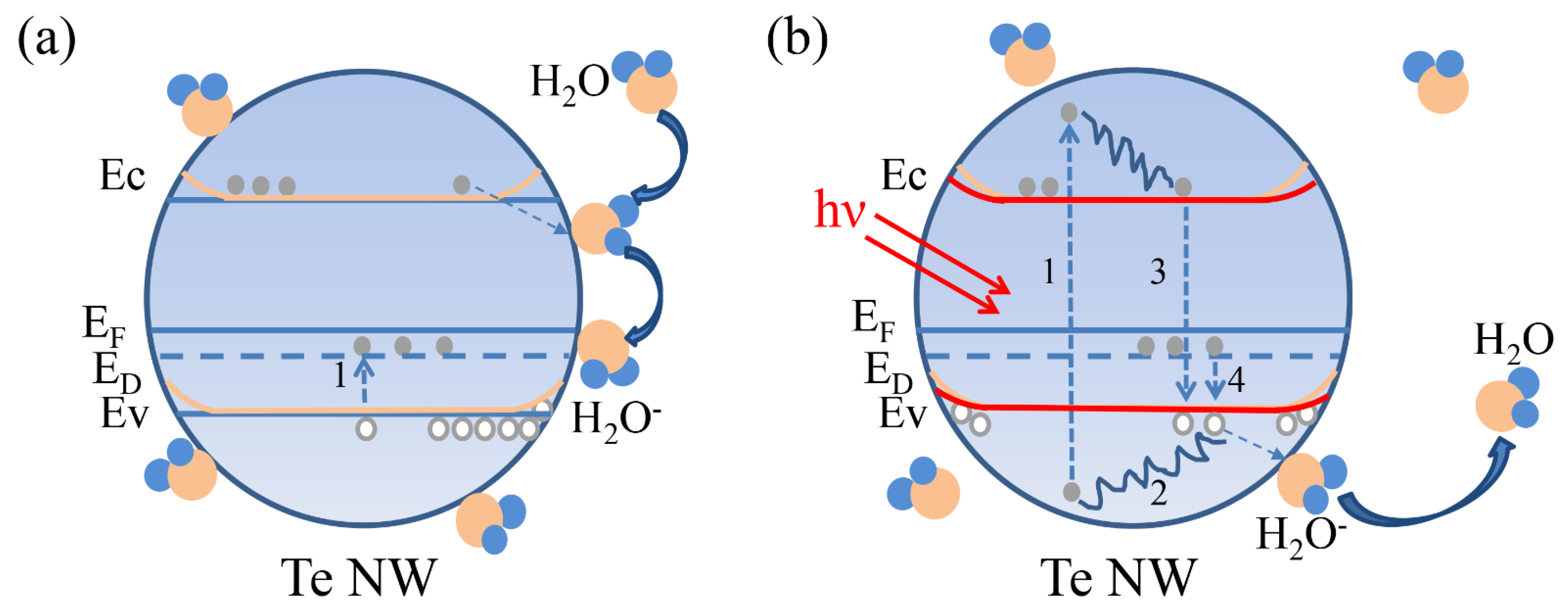 Nanomaterials 12 03747 g005 Nanomaterials 12 03747 g005