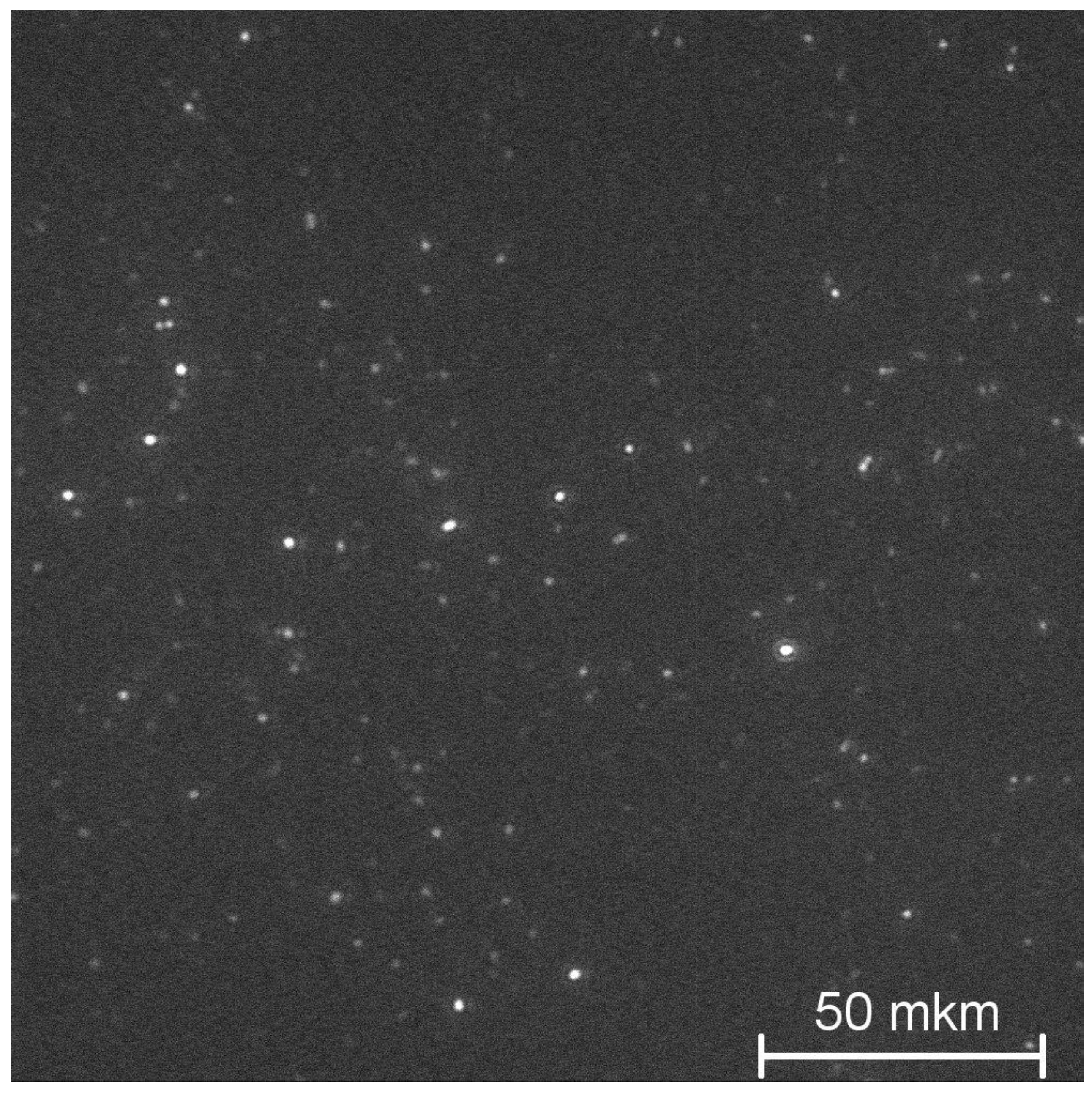 Nanomaterials 12 03749 g002