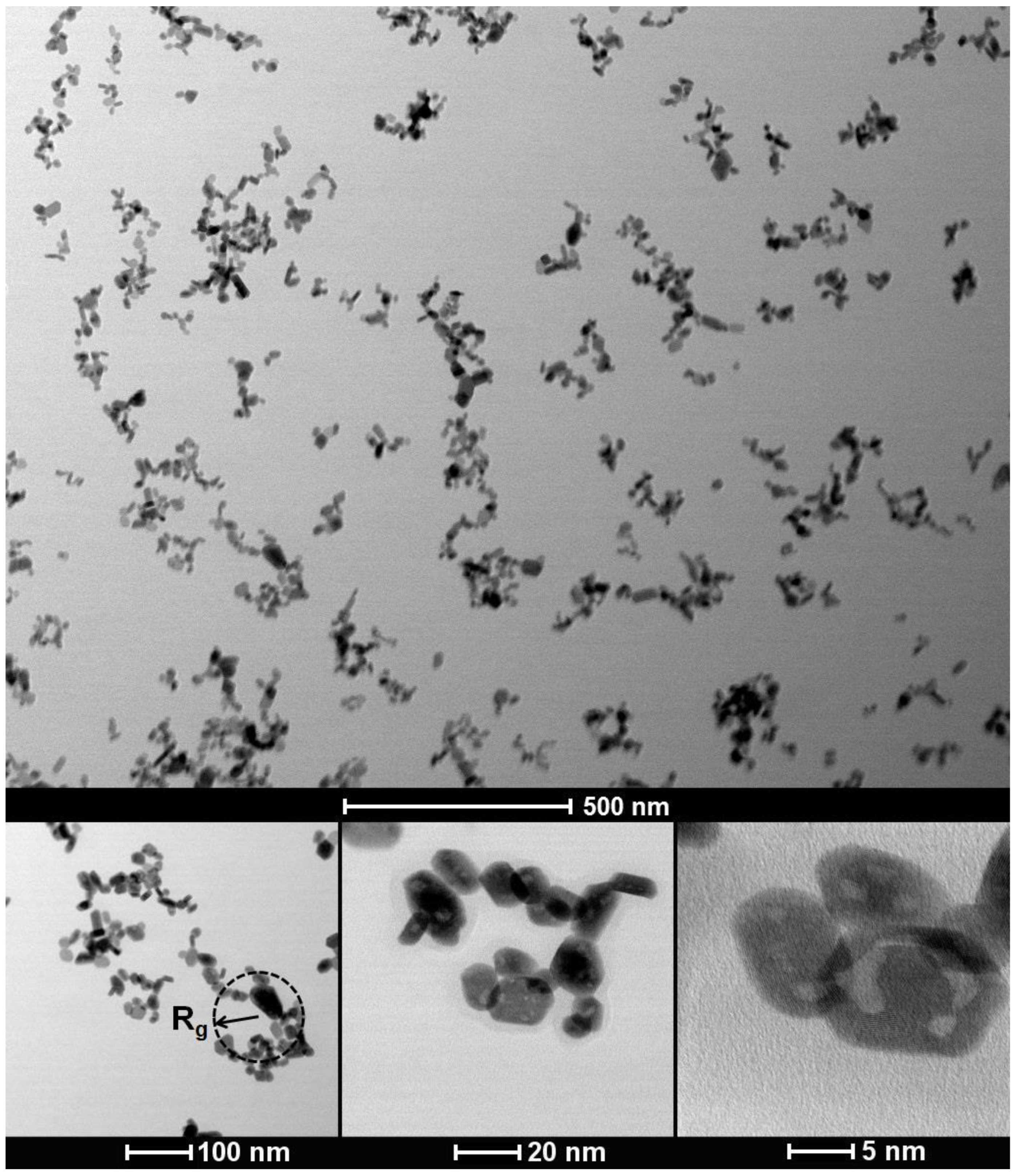 Nanomaterials 12 03749 g003