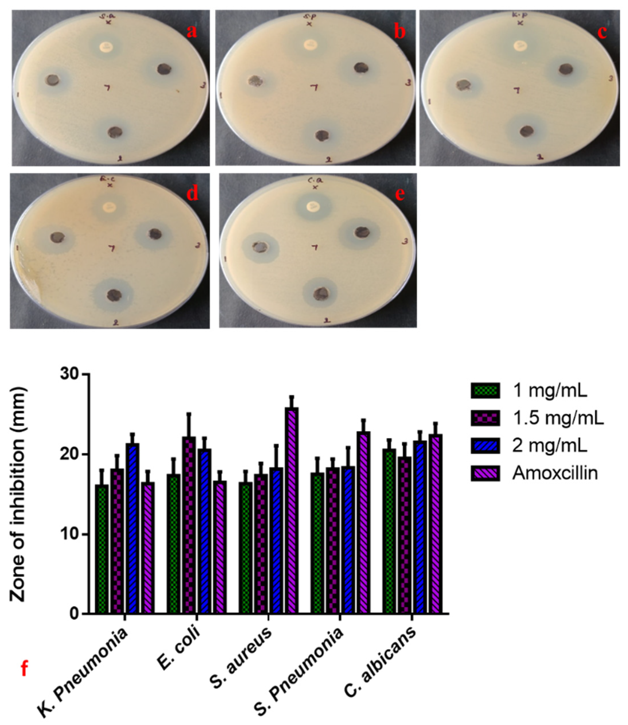 Nanomaterials 12 03753 g004