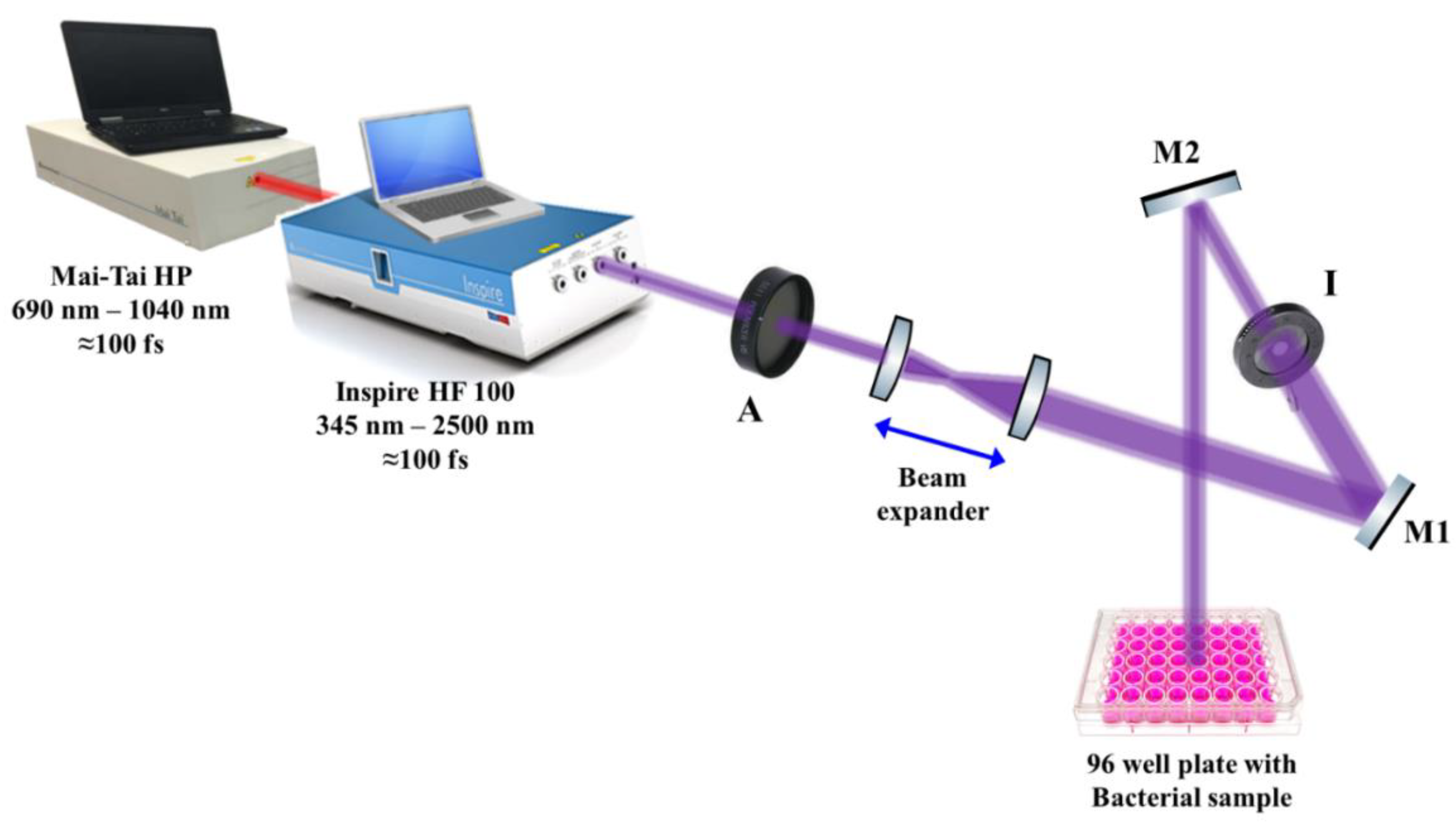 Nanomaterials 12 03757 g002 Nanomaterials 12 03757 g002