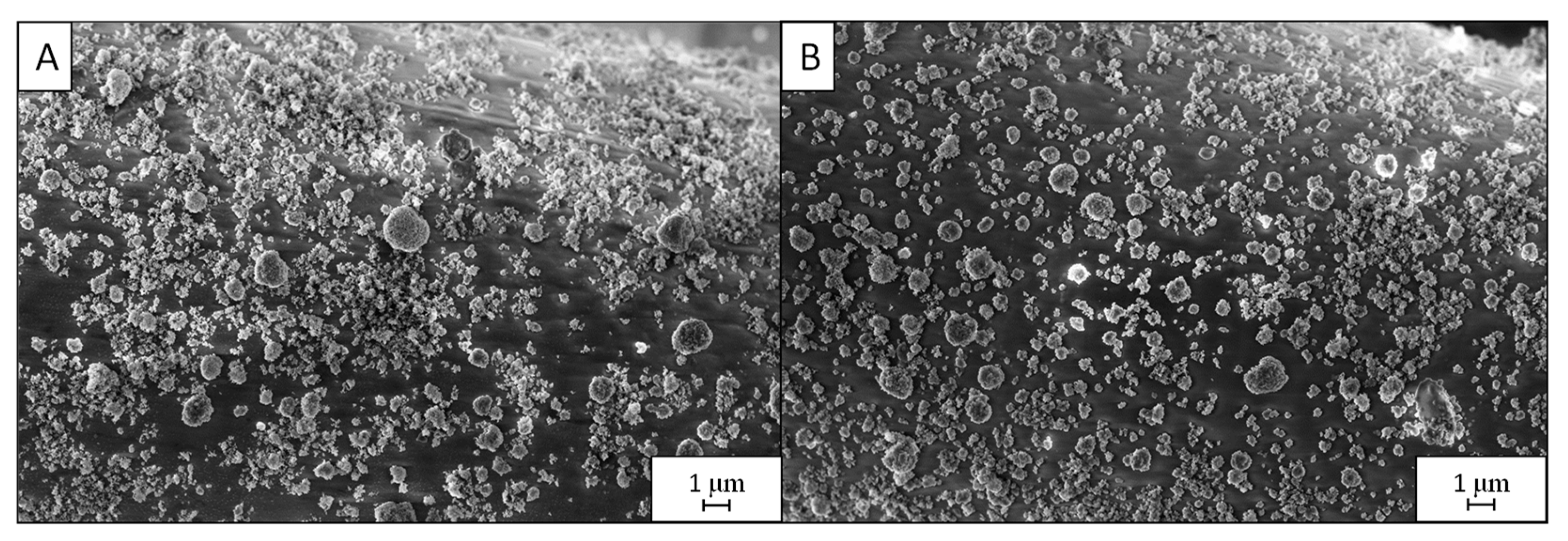 Nanomaterials 12 03758 g005 Nanomaterials 12 03758 g005