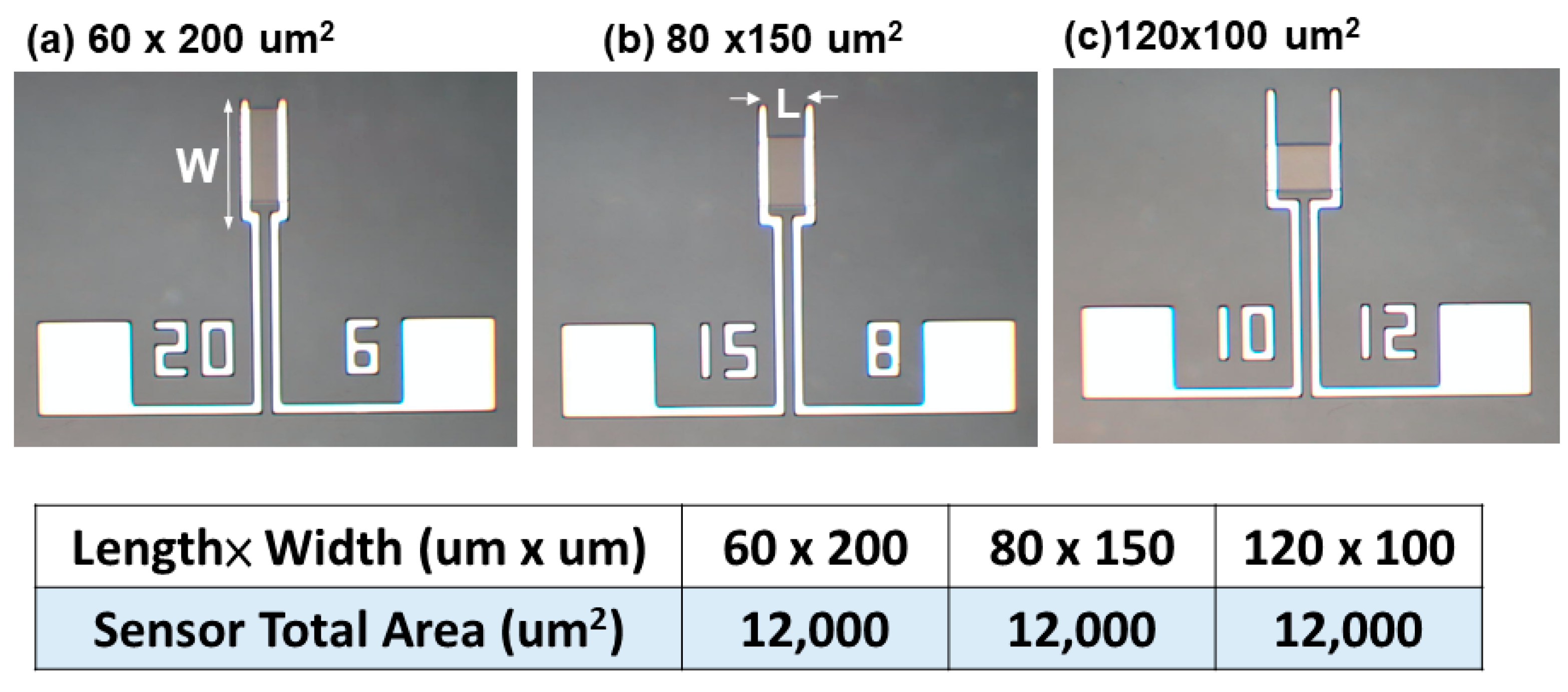Nanomaterials 12 03759 g004 Nanomaterials 12 03759 g004