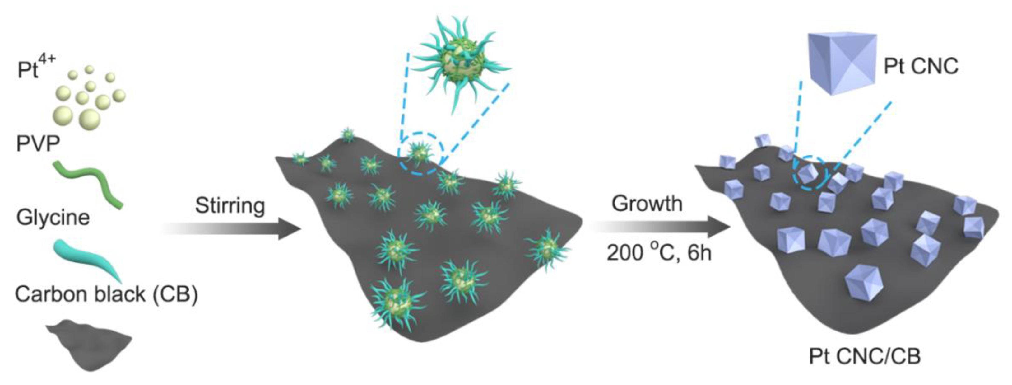 Nanomaterials 12 03761 g001