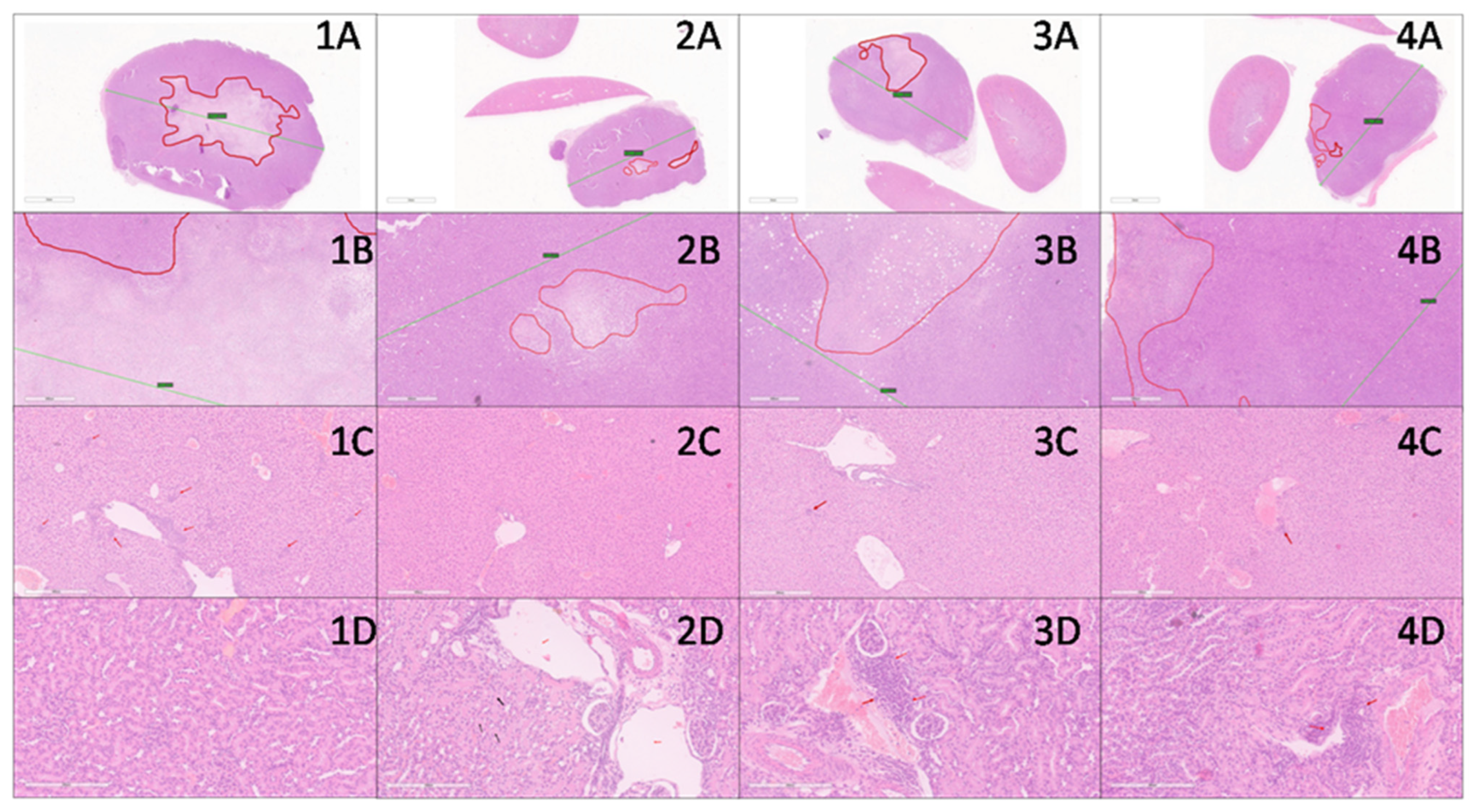 Nanomaterials 12 03767 g008