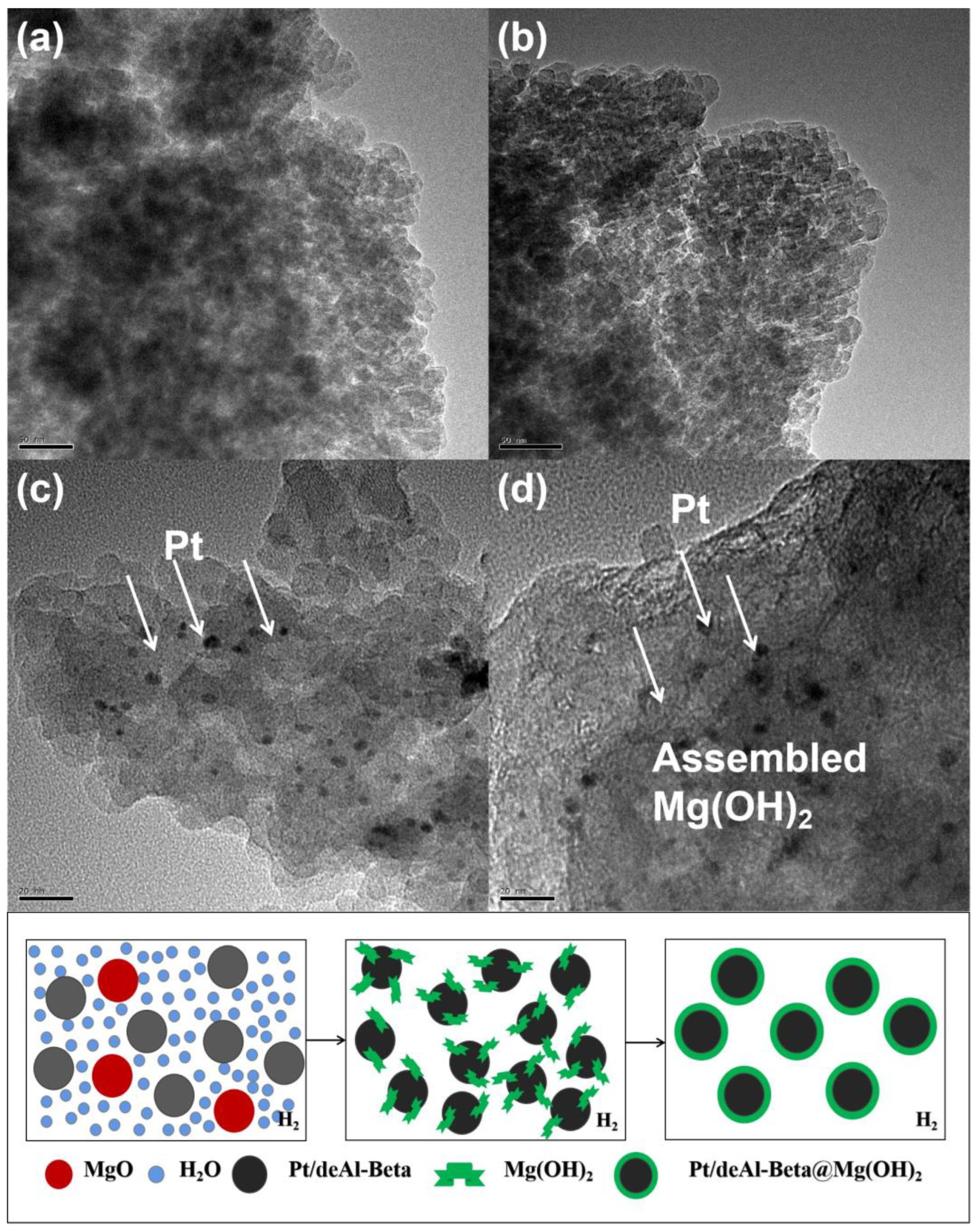 Nanomaterials 12 03771 g007 Nanomaterials 12 03771 g007
