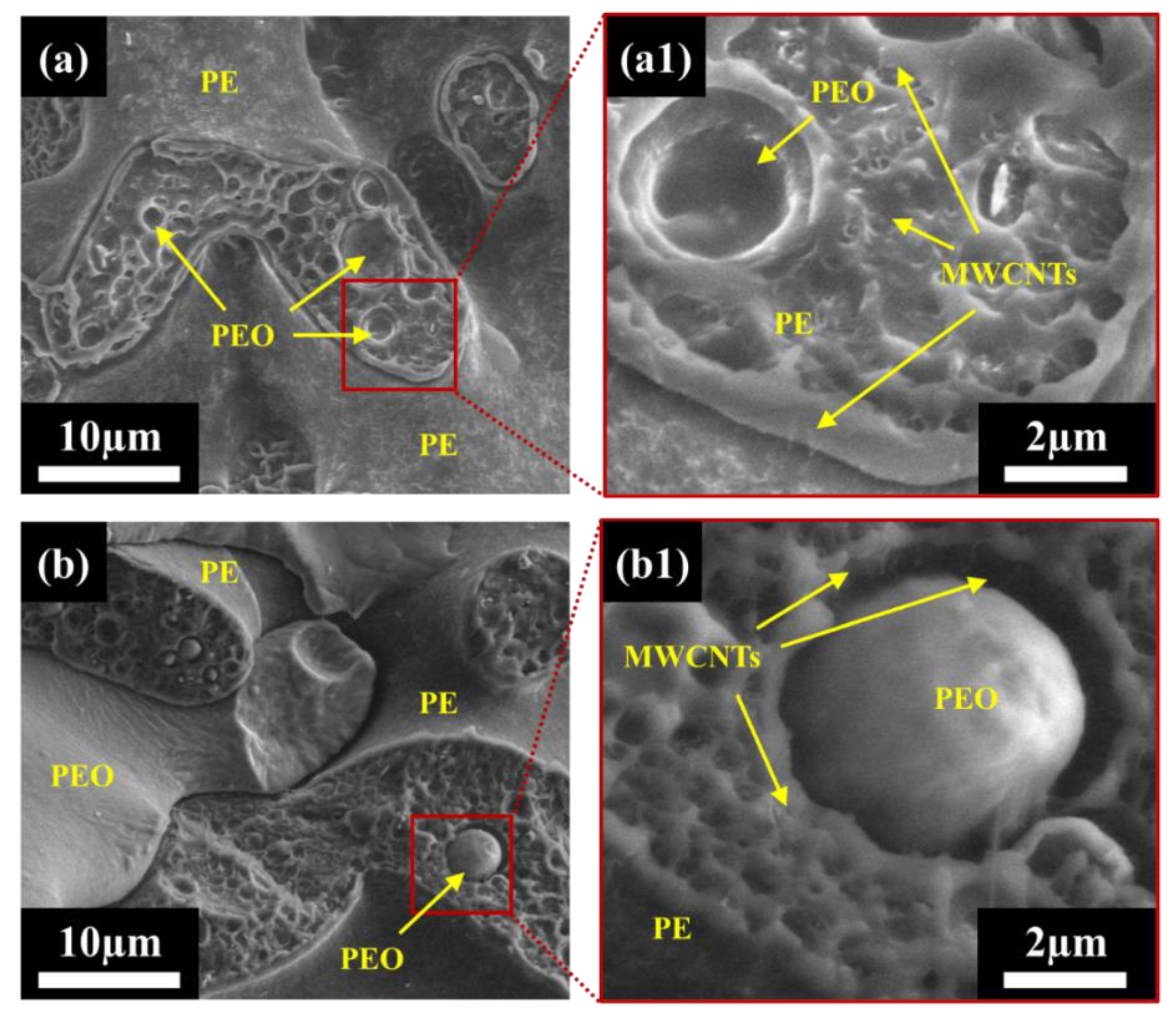 Nanomaterials 12 03772 g002 Nanomaterials 12 03772 g002