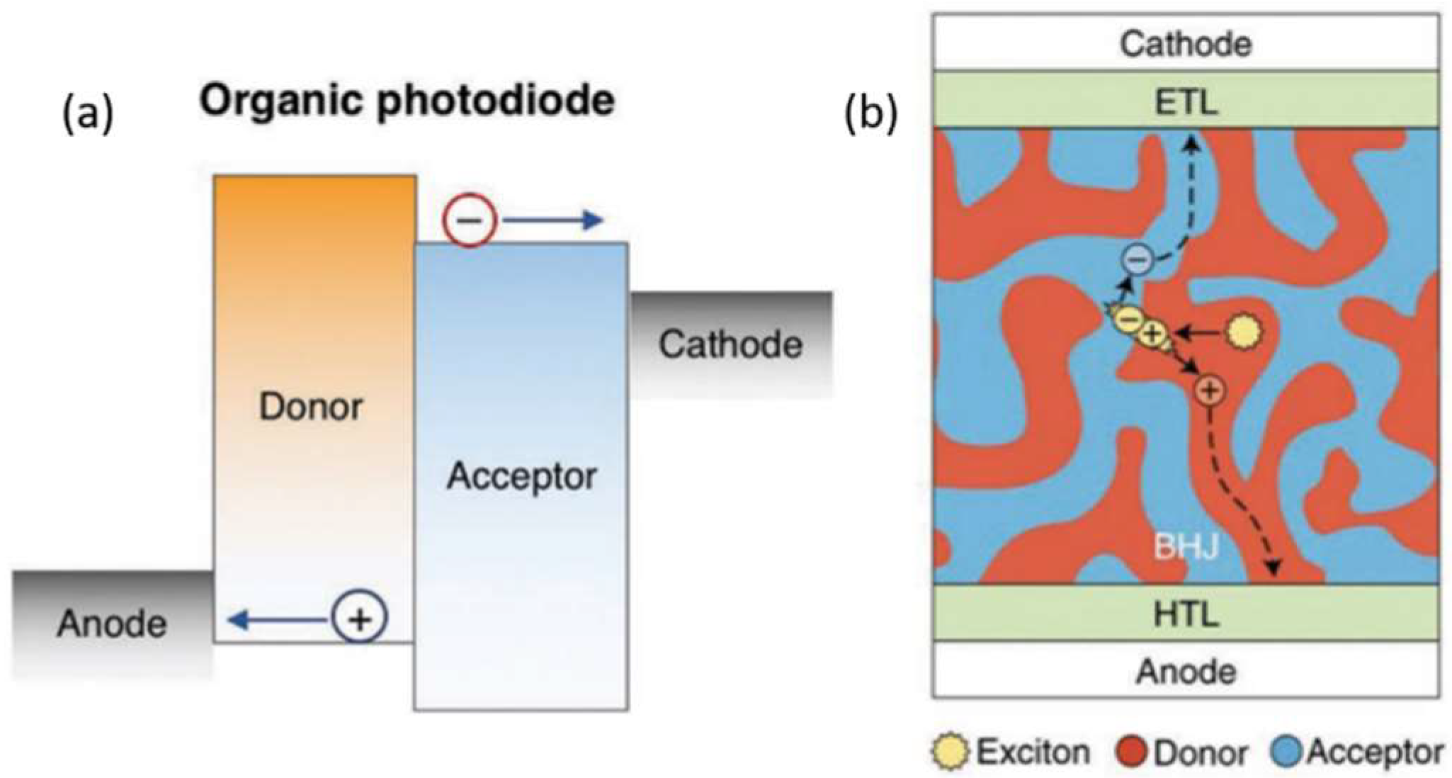 Nanomaterials 12 03775 g001 Nanomaterials 12 03775 g001
