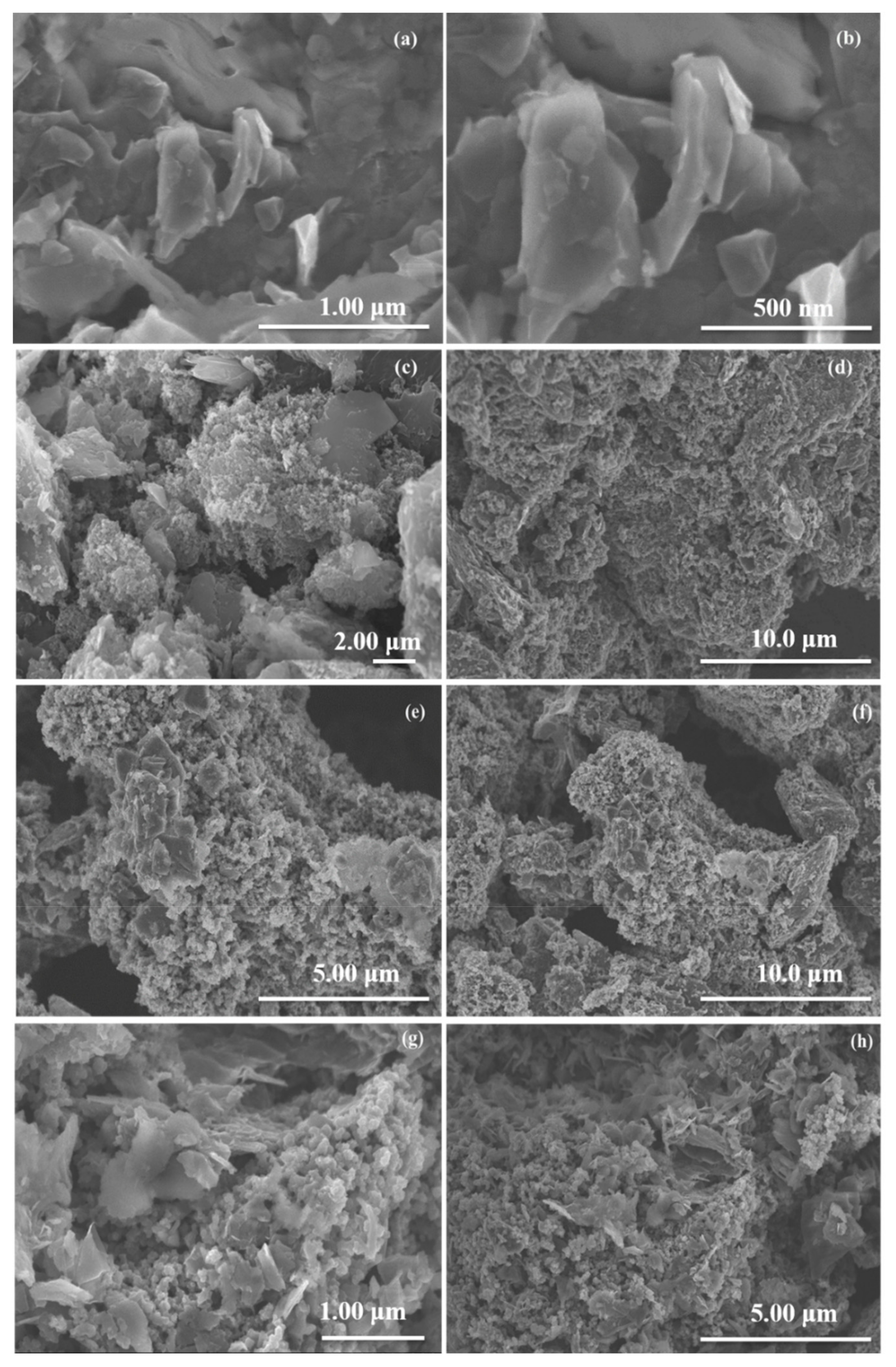 Nanomaterials 12 03776 g004