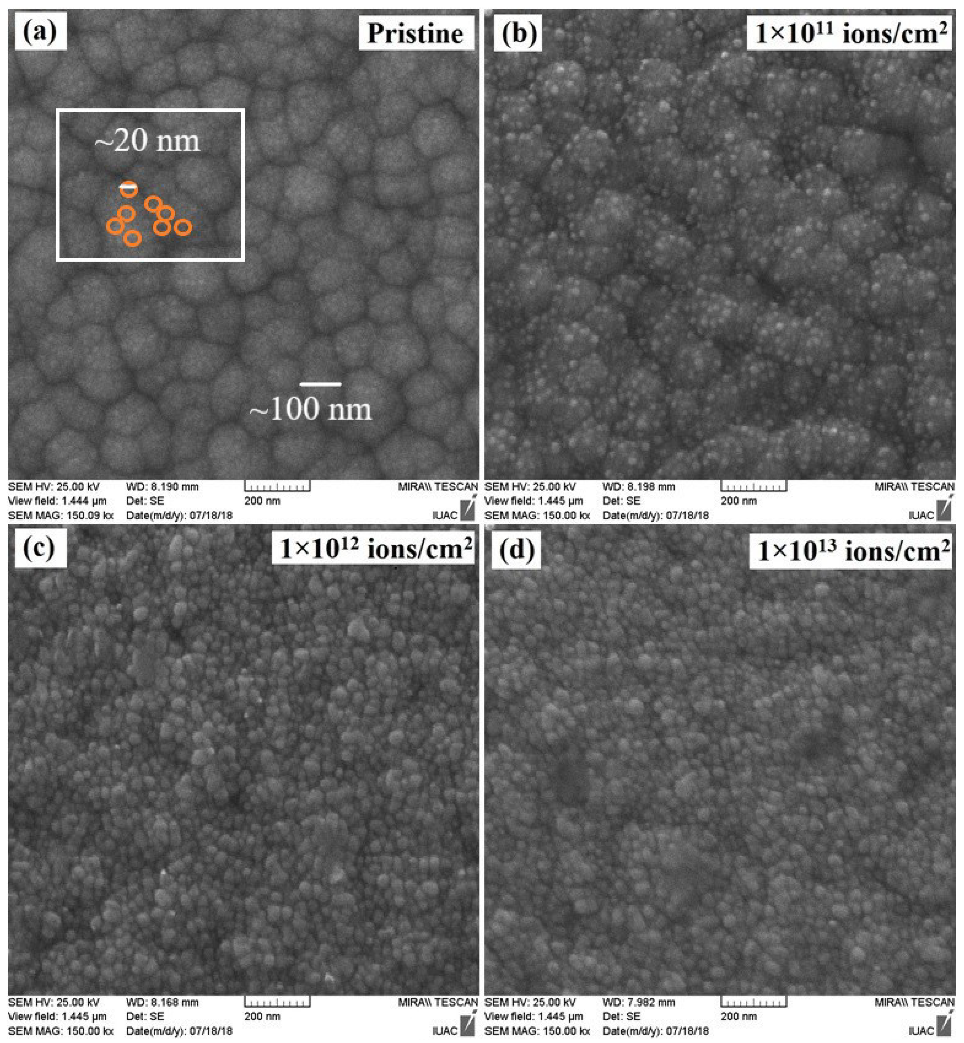 Nanomaterials 12 03782 g003 Nanomaterials 12 03782 g003