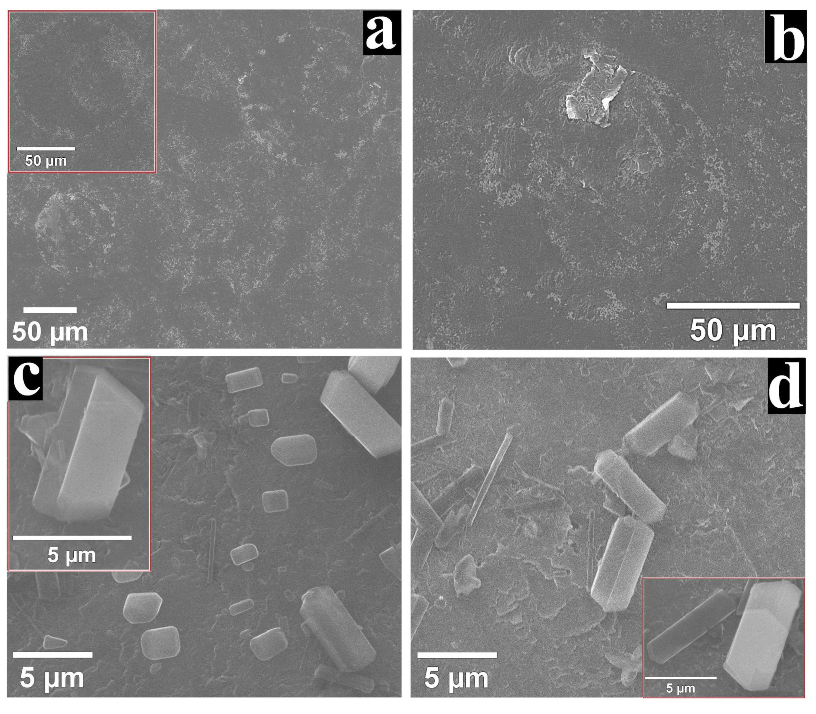Nanomaterials 12 03788 g008 Nanomaterials 12 03788 g008