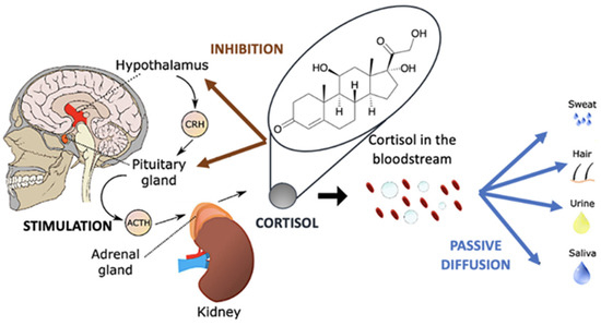 Nanomaterials | Free Full-Text | Nanomaterials for Cortisol 