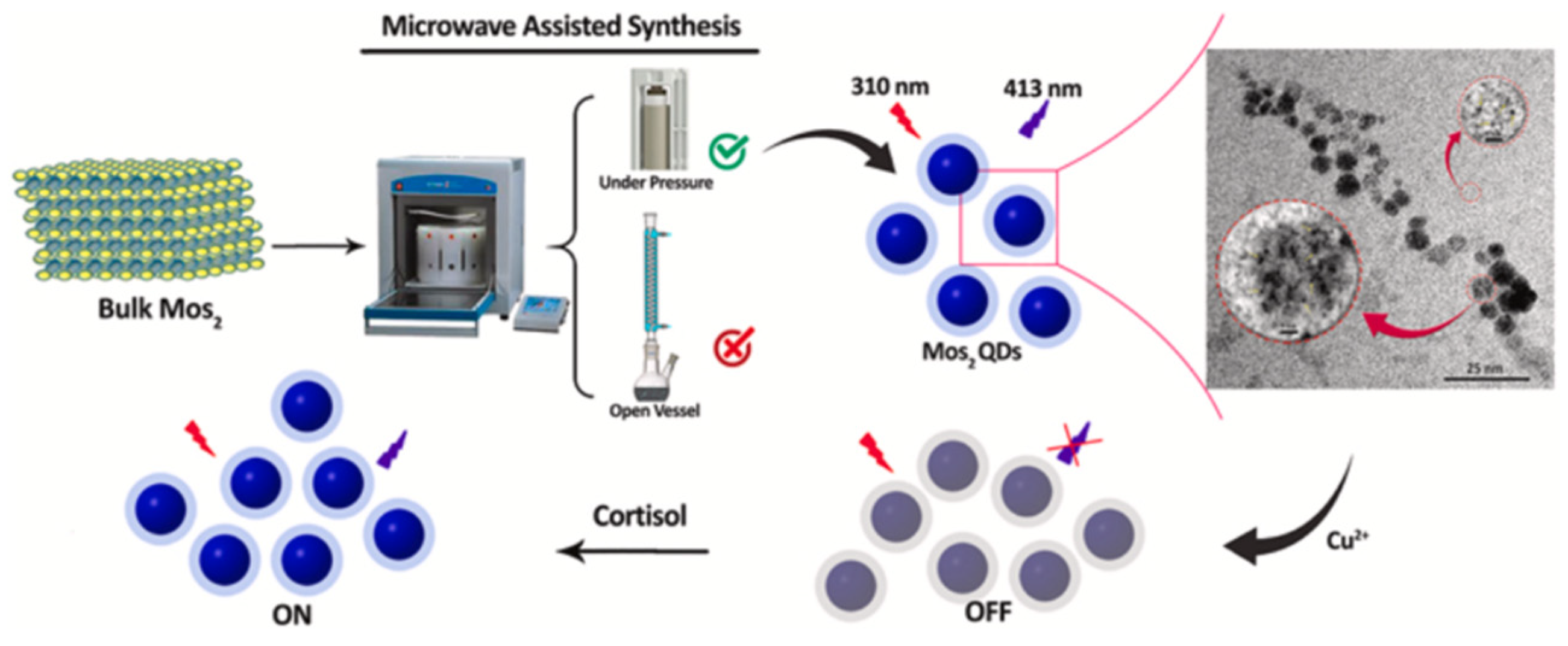 Nanomaterials 12 03790 g005