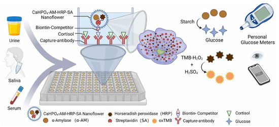 Nanomaterials for Cortisol Sensing