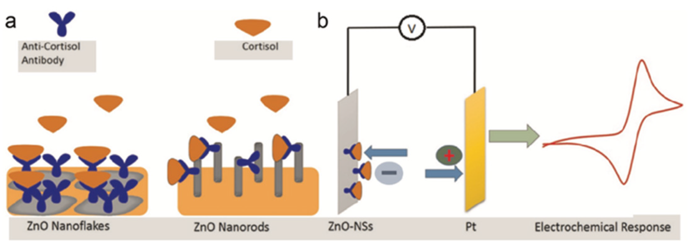 Nanomaterials 12 03790 g008