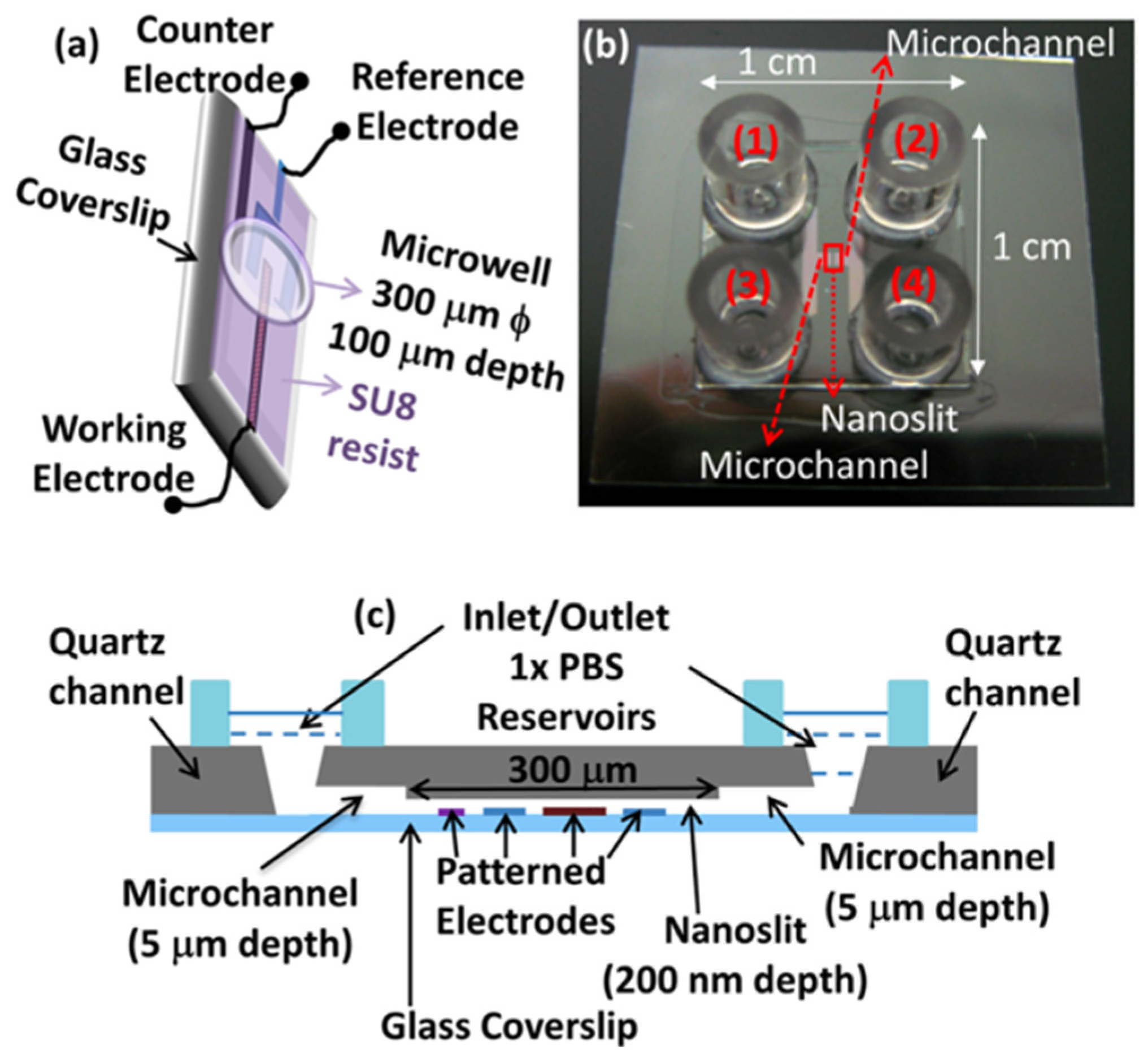 Nanomaterials 12 03790 g009