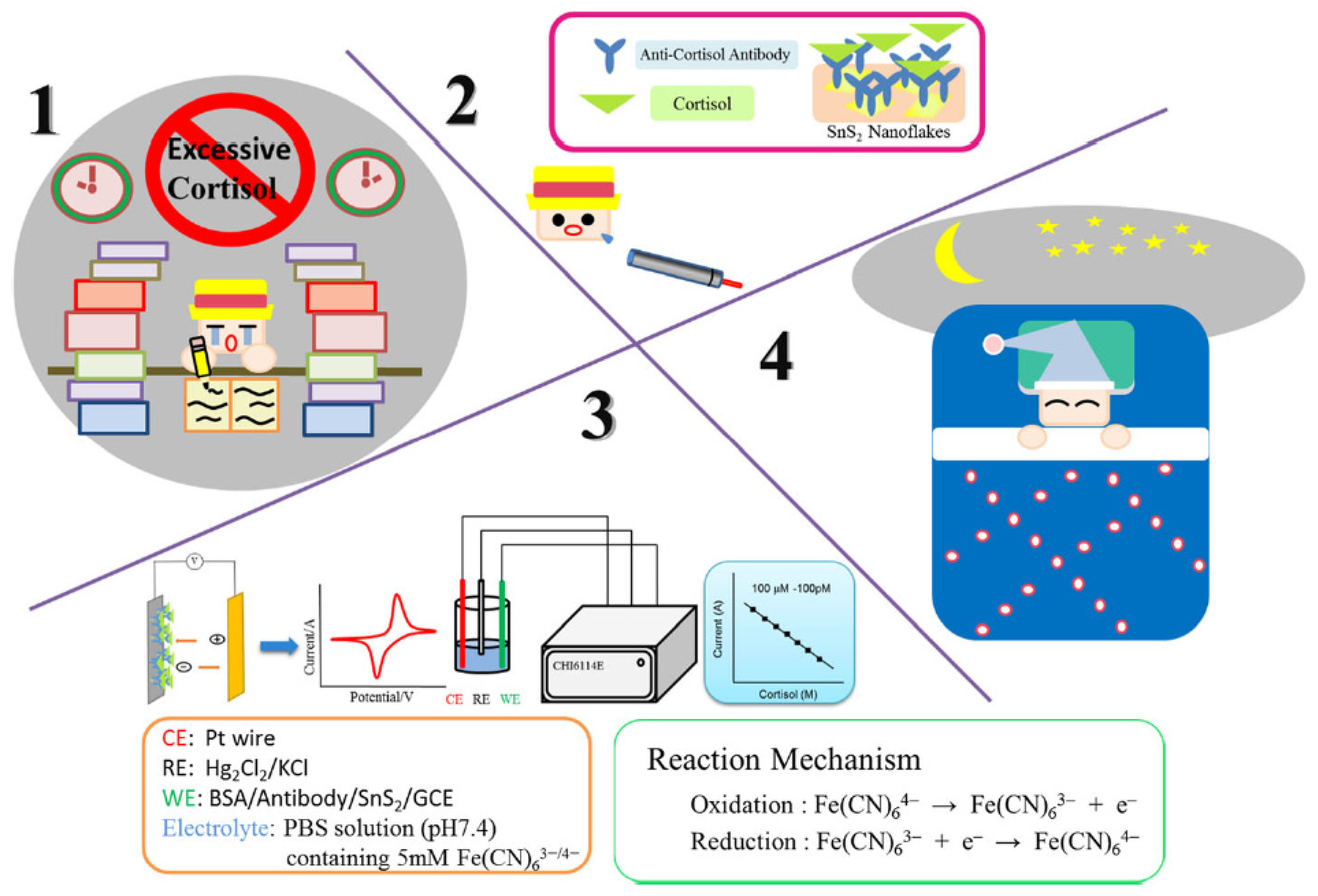 Nanomaterials 12 03790 g011