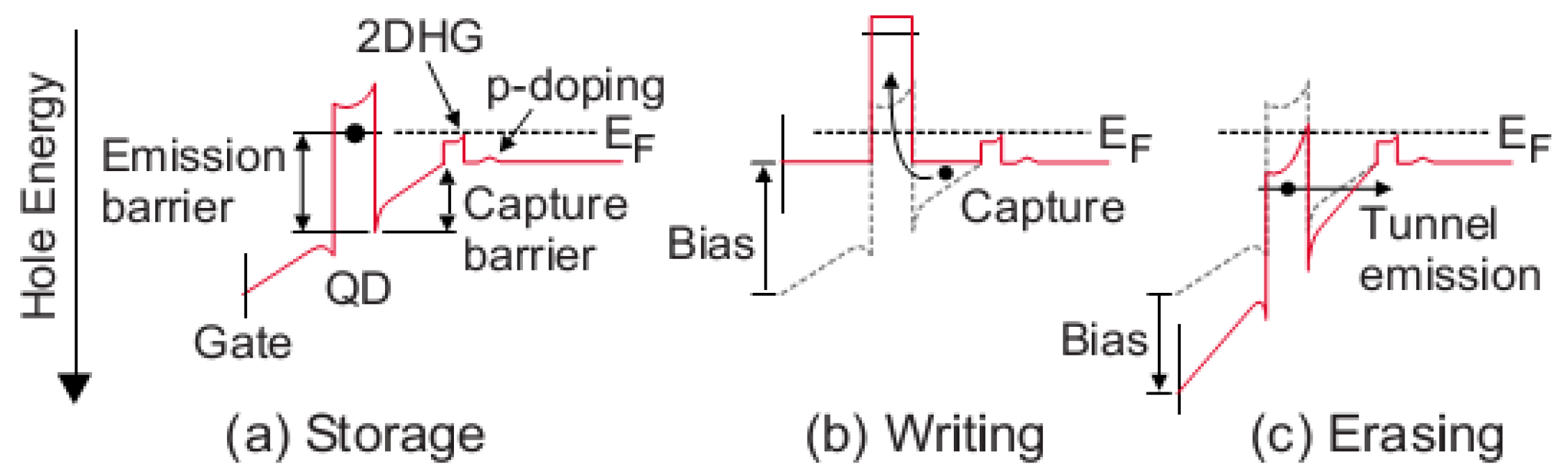 Nanomaterials 12 03794 g002