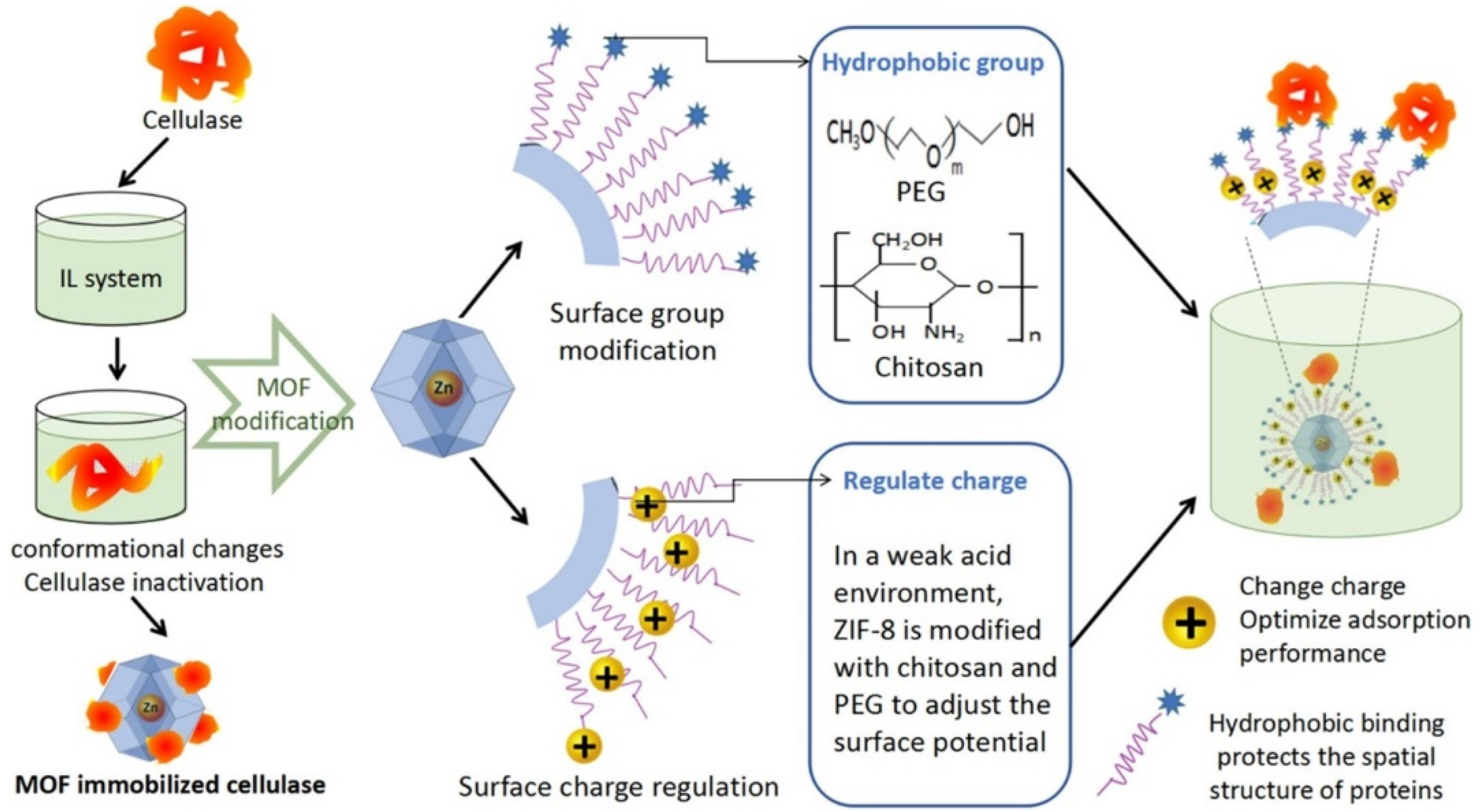 Nanomaterials 12 03796 g001 550