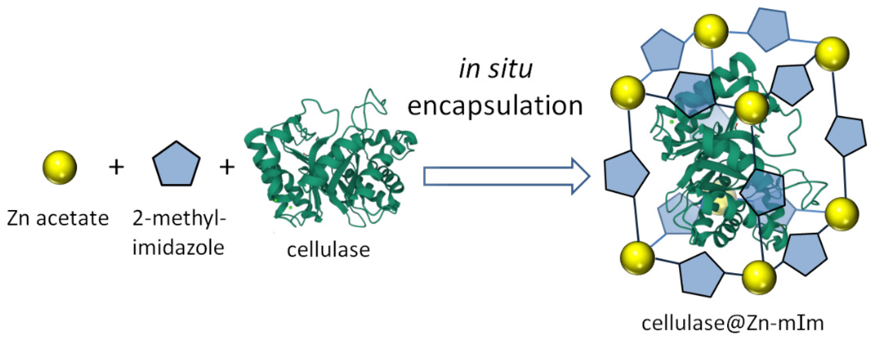 Nanomaterials 12 03796 g002 550