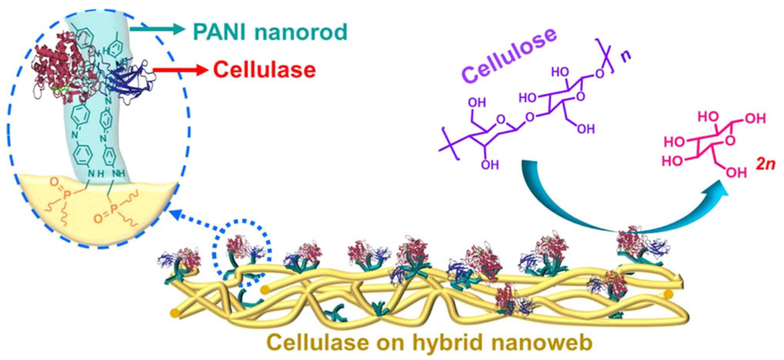 Nanomaterials 12 03796 g003 550
