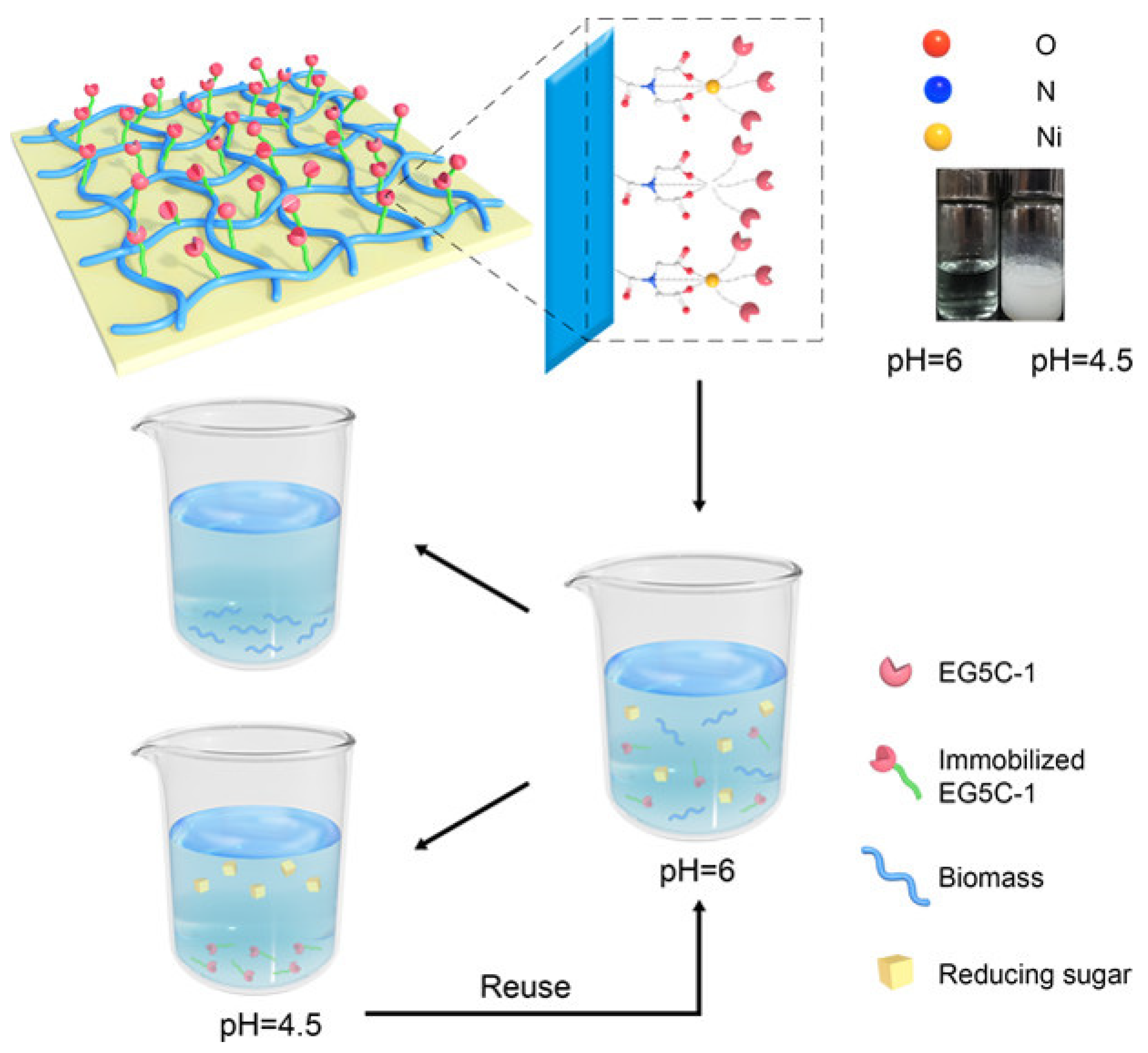 Nanomaterials 12 03796 g010 550