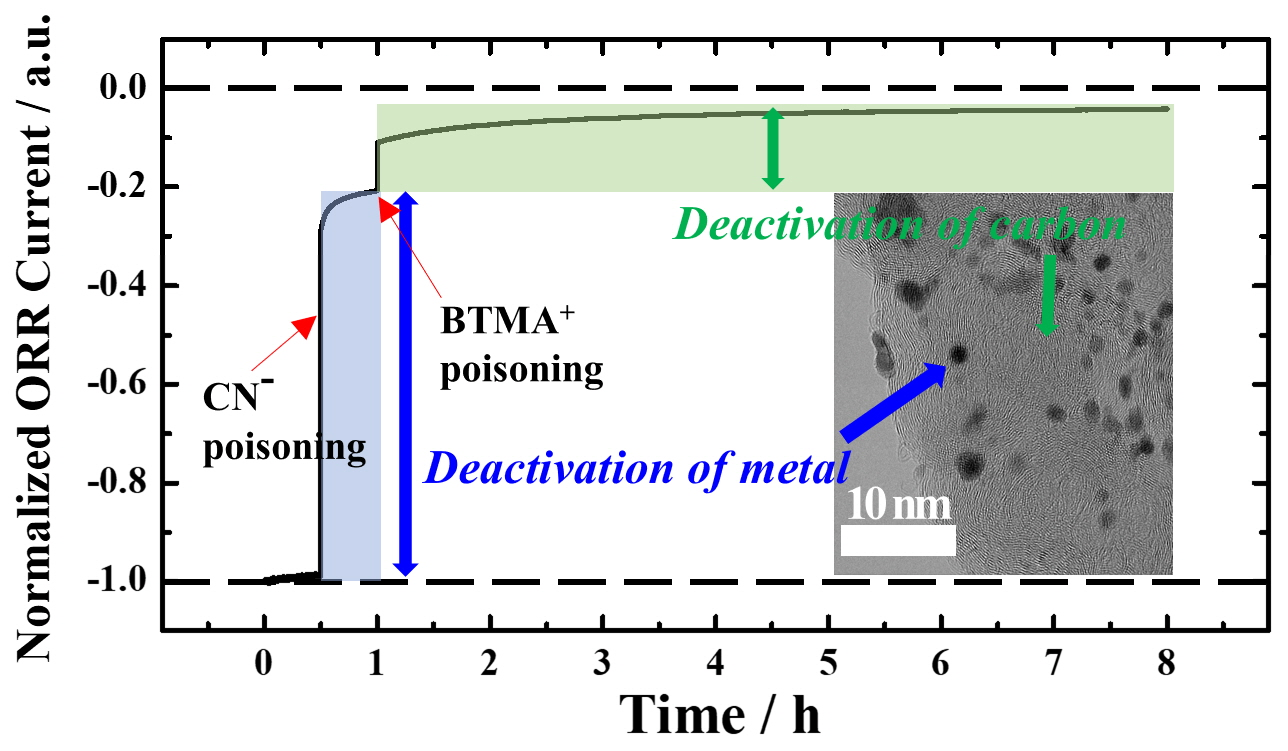 Nanomaterials Free FullText Activity Quantification of Fuel Cell